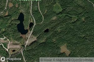 Nimetonlampi