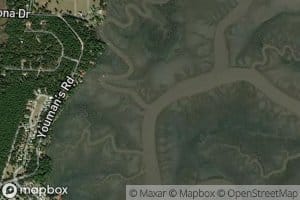 Yellow Bluff Creek