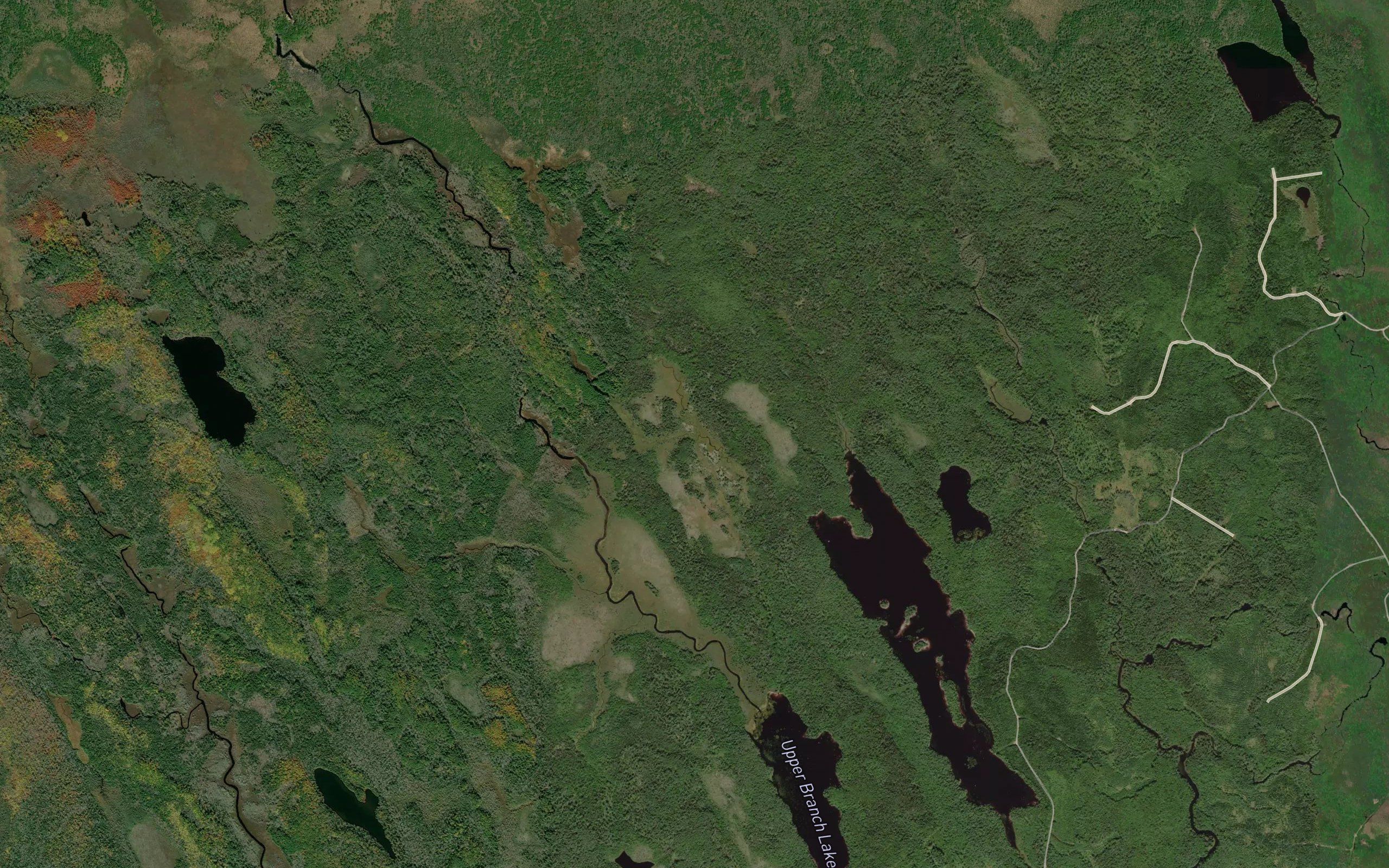 Dog Lake
