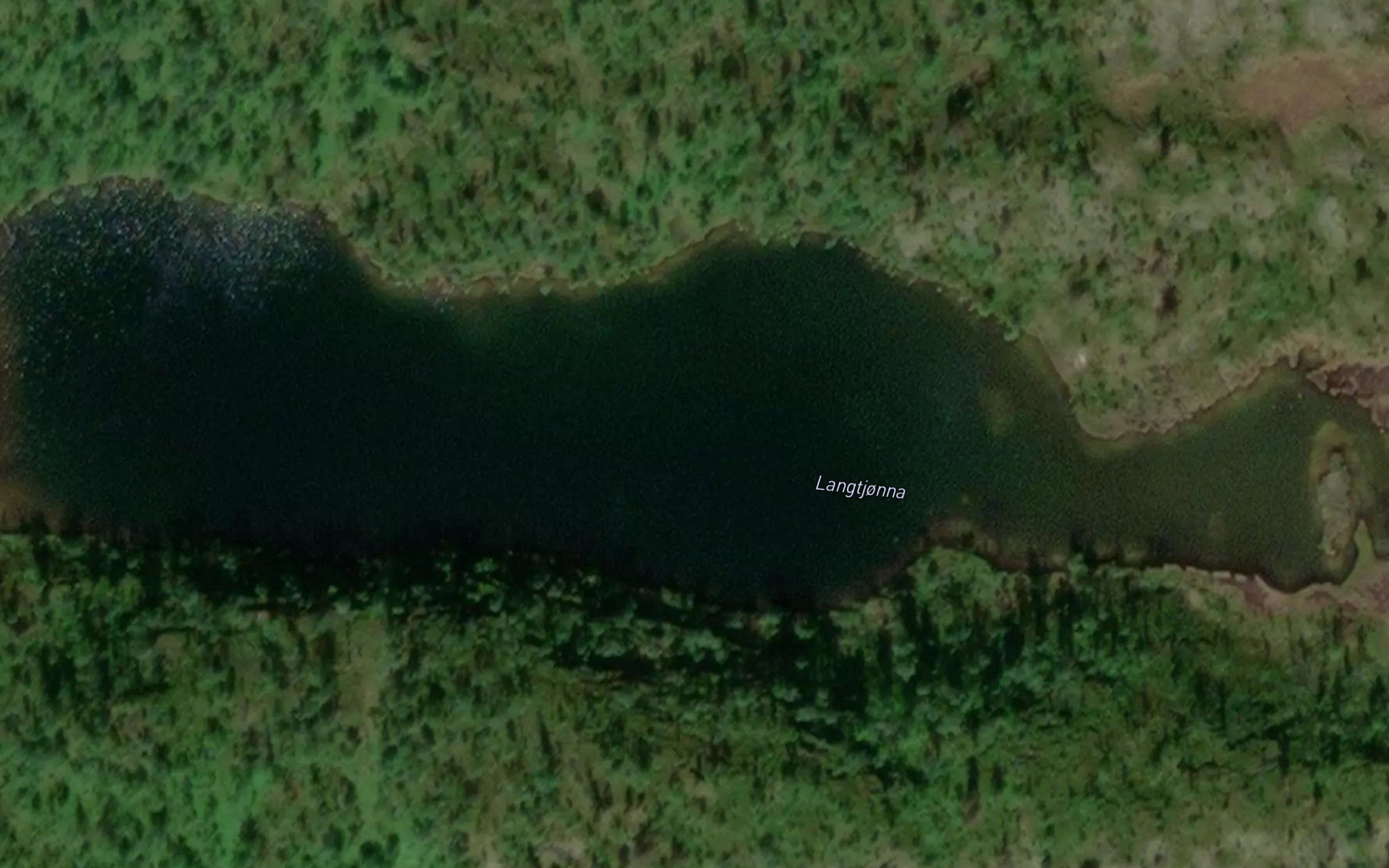 Langtjonna