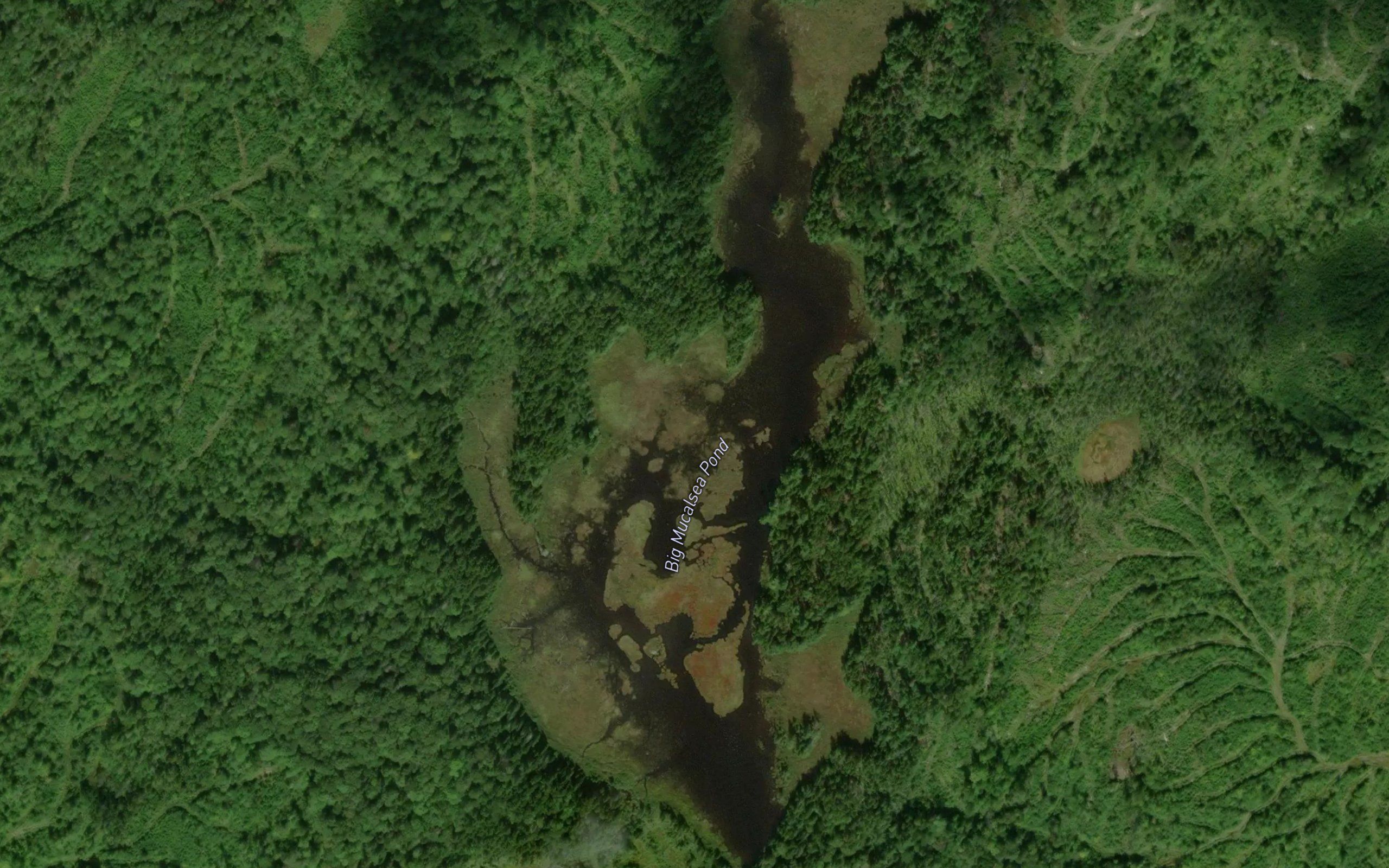 Big Mucalsea Pond