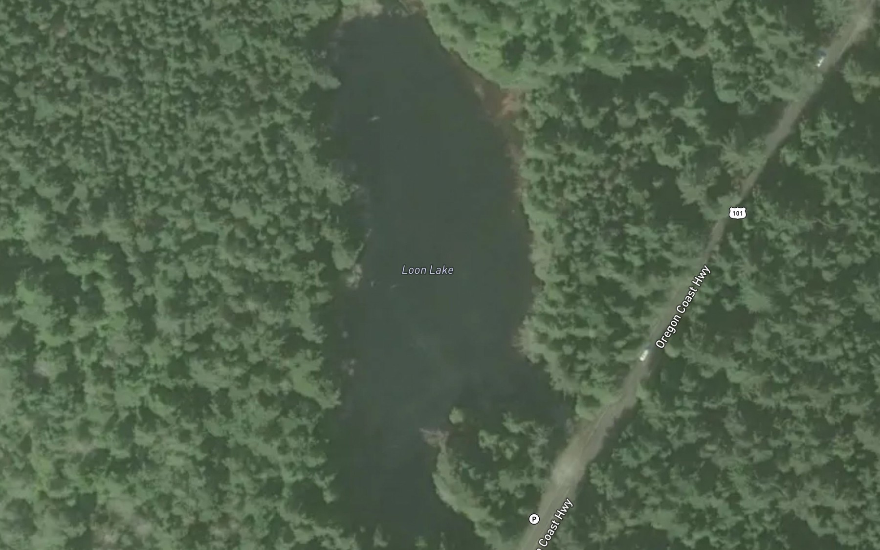 Satellite map of the Loon Lake