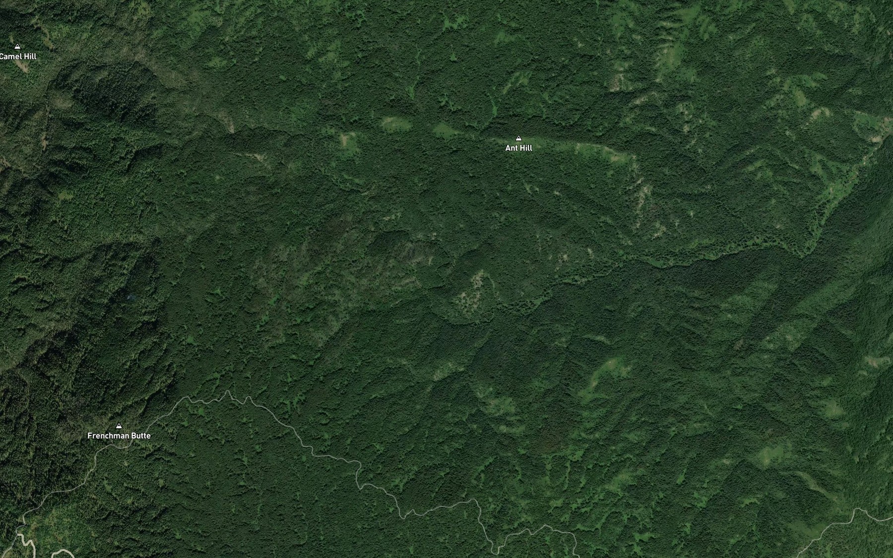 Satellite map of the Ant Creek