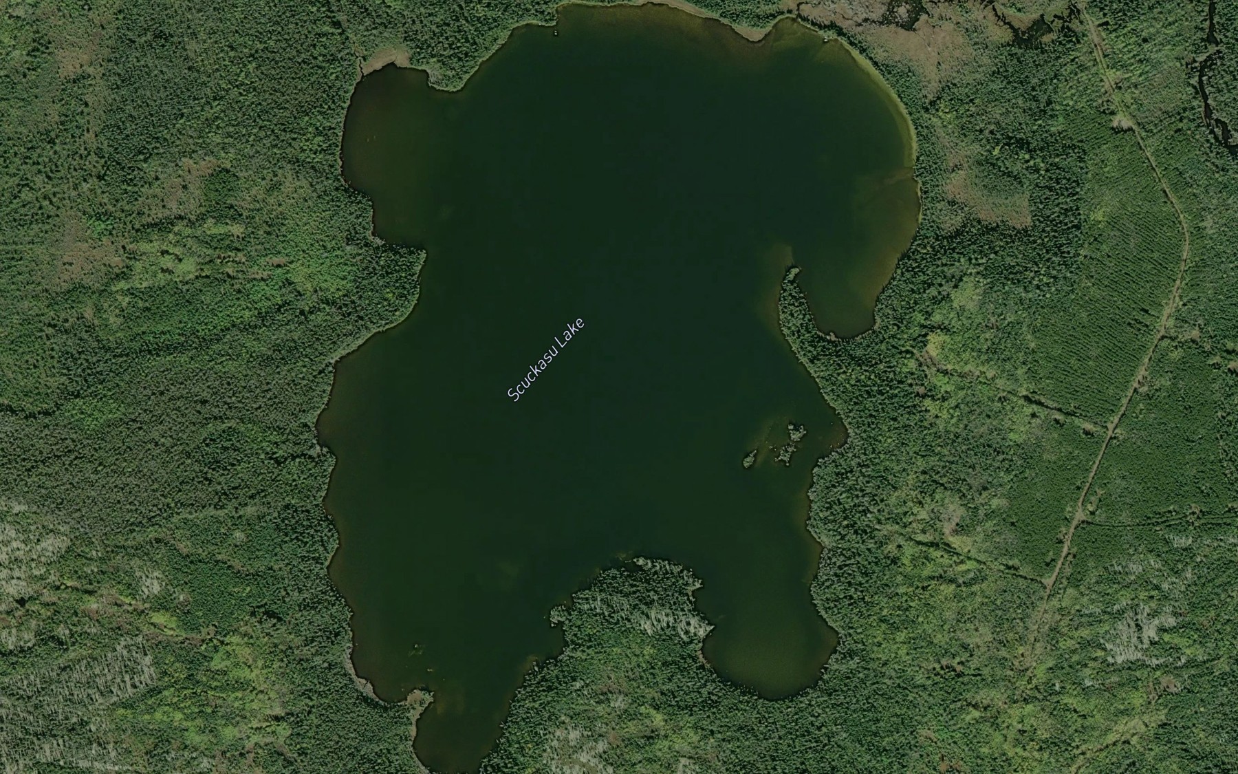 Satellite map of the Scuckasu Lake
