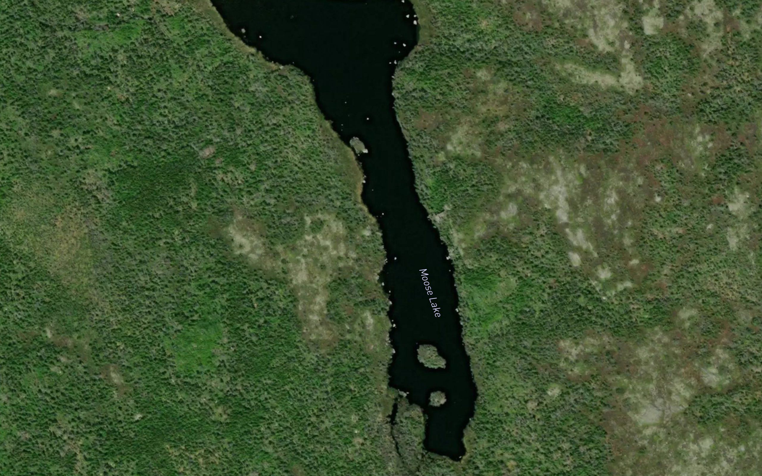 Moose Lake
