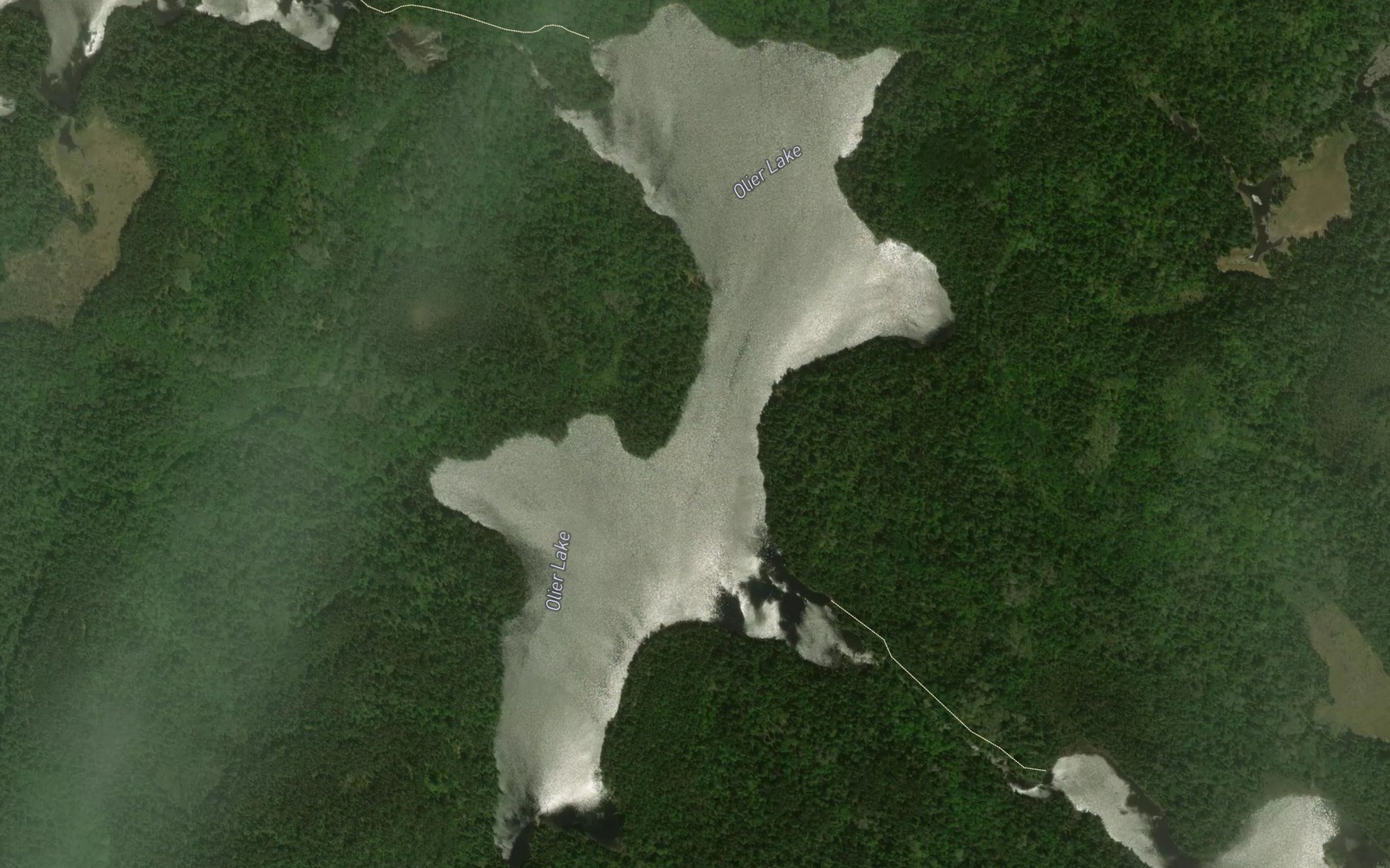 Satellite map of the Olier Lake