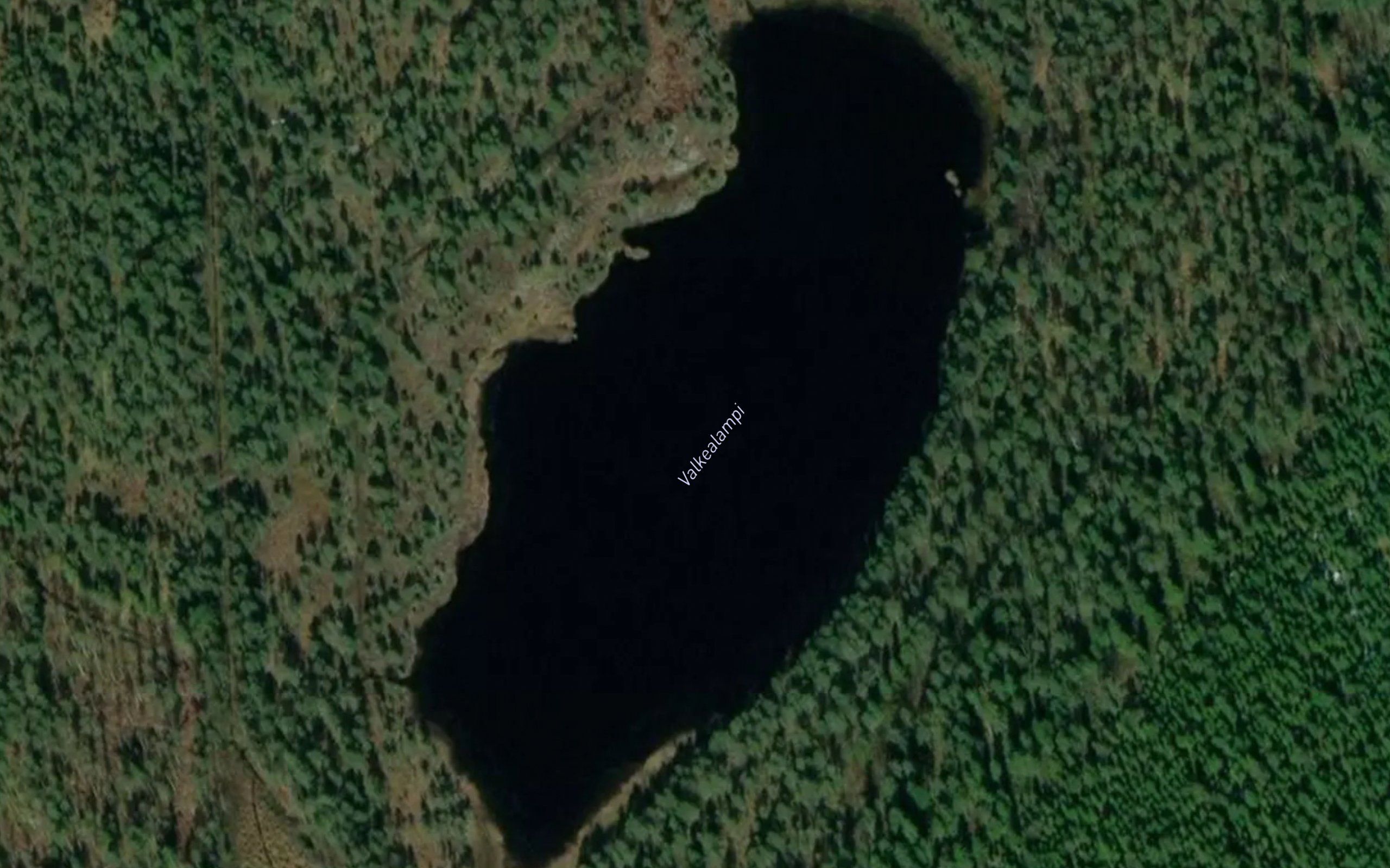 Valkealampi