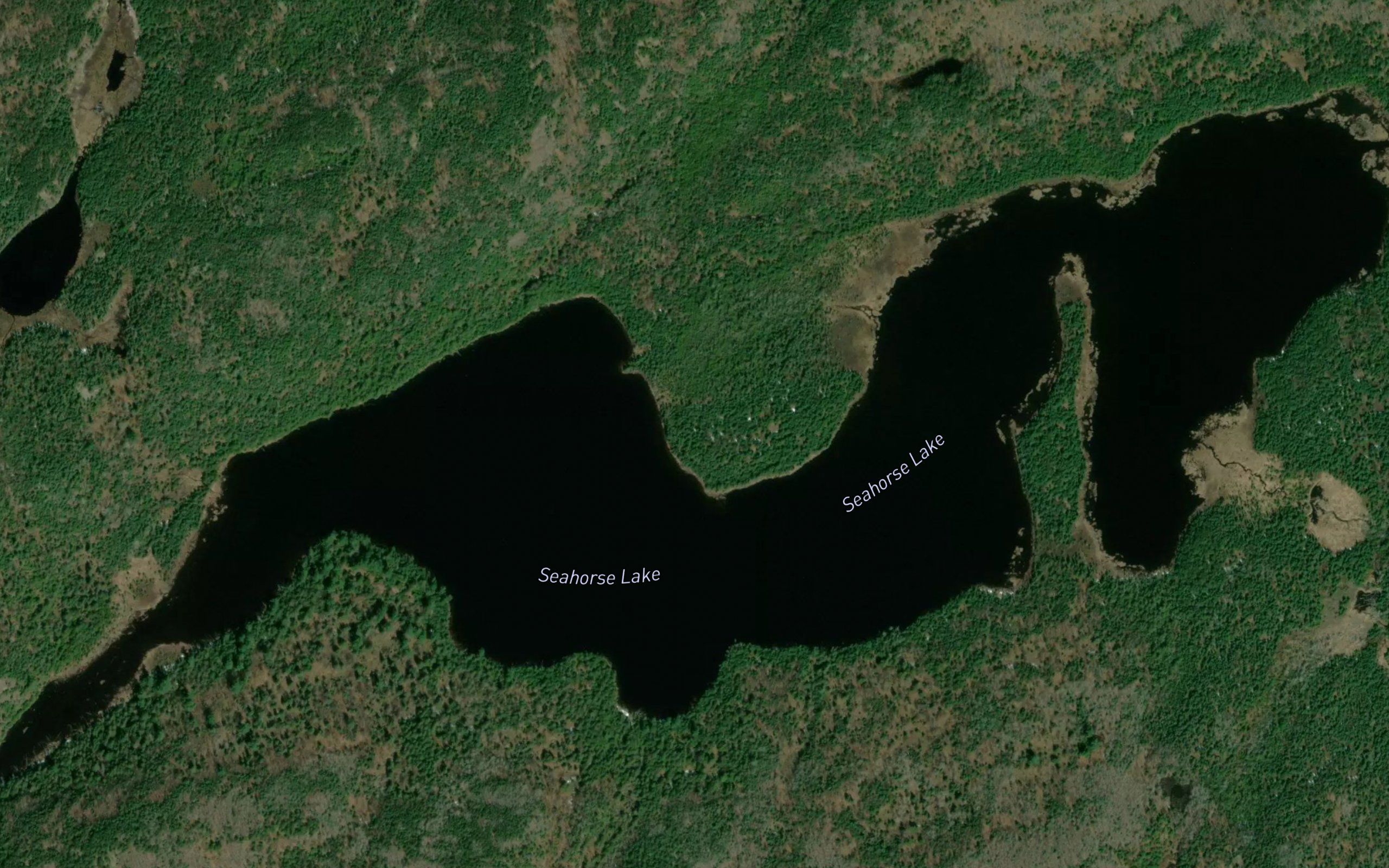 Seahorse Lake