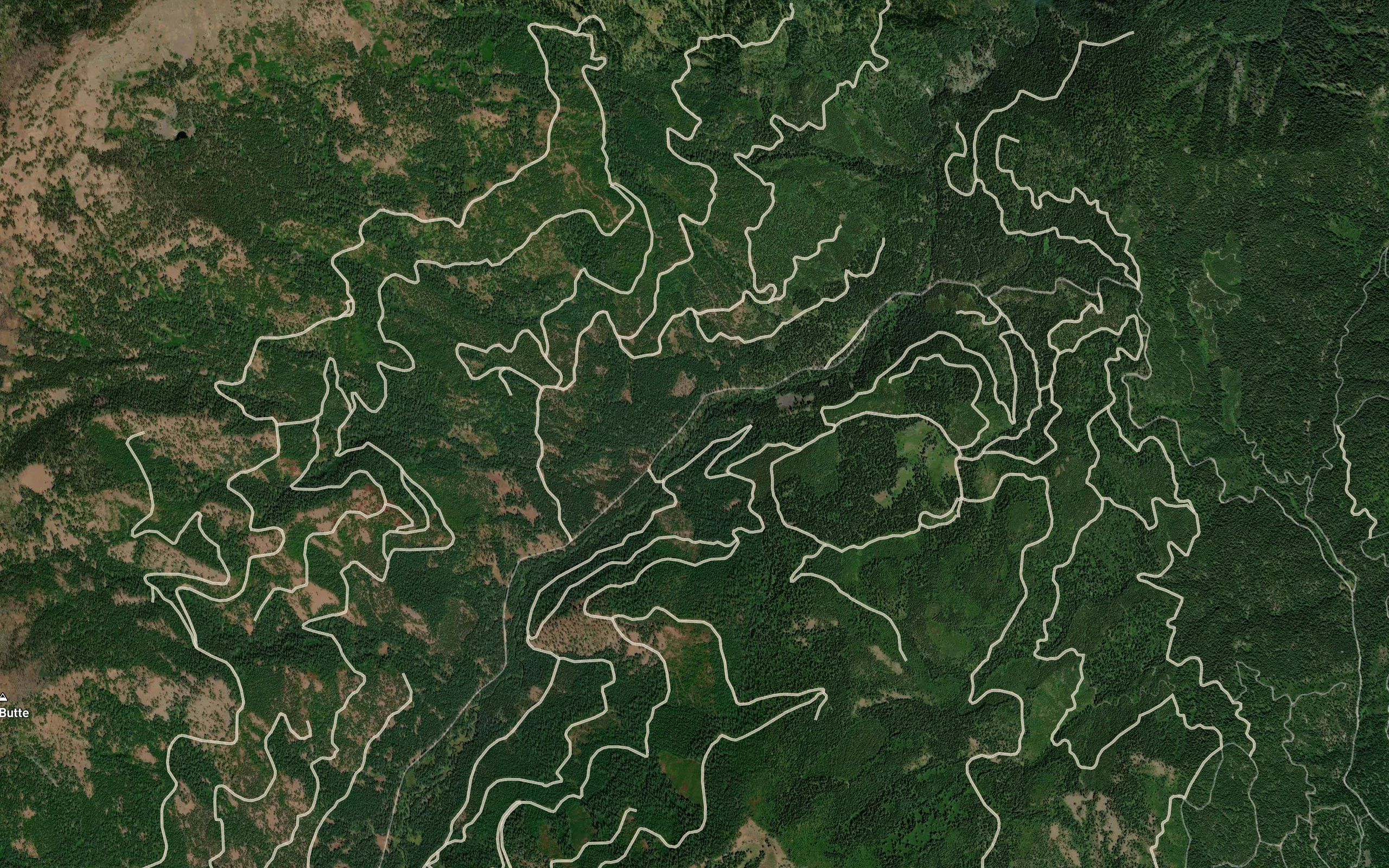 Bull Horn Creek