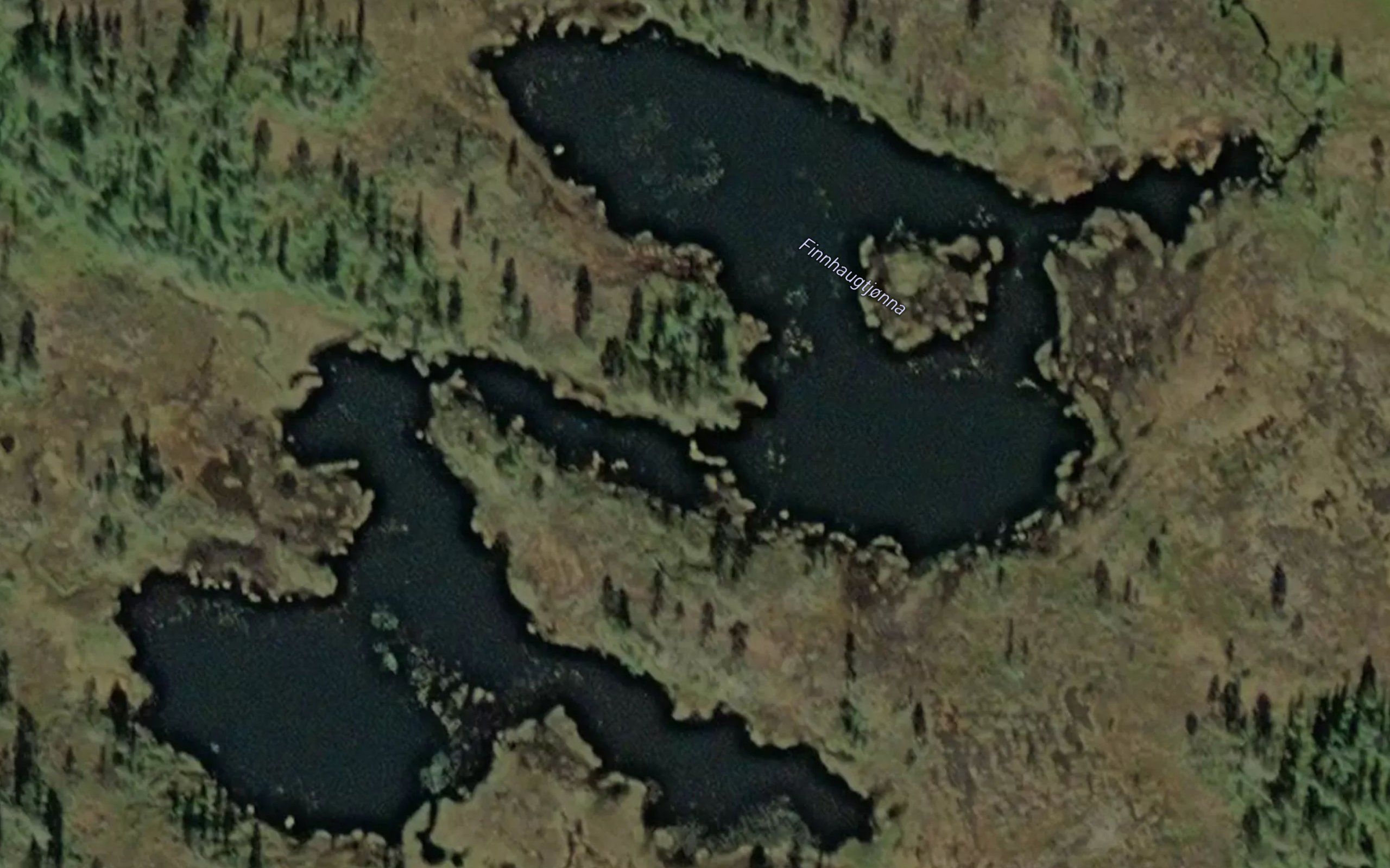 Finnhaugtjorna