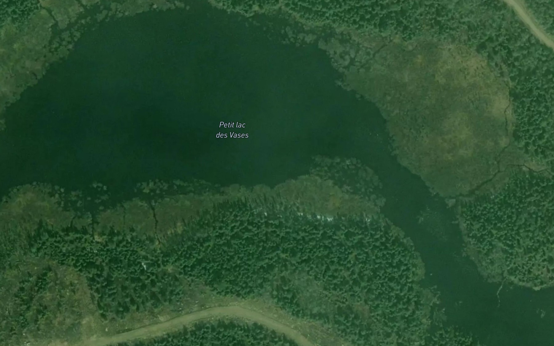 Satellite map of the Petit lac des Vases