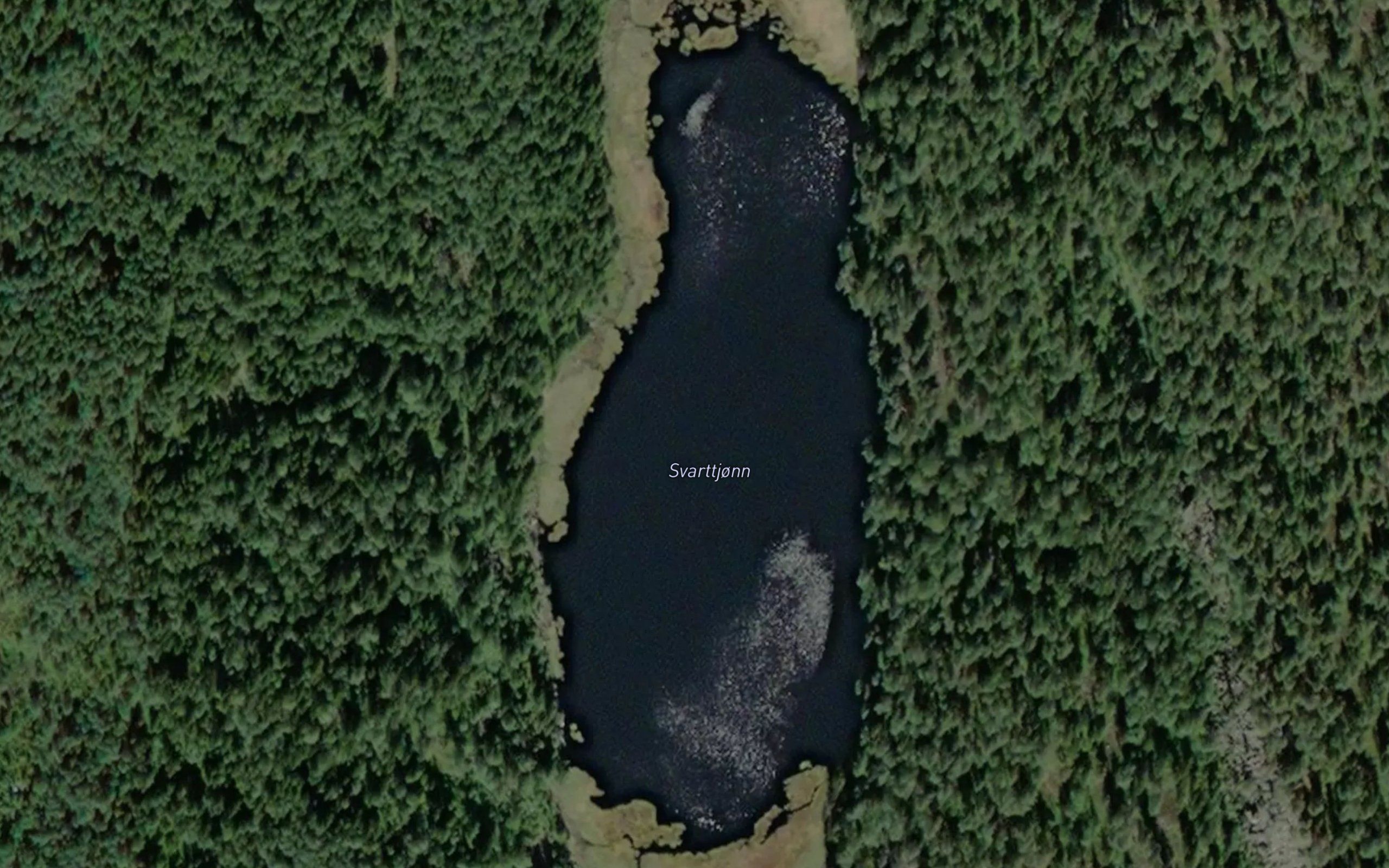 Svartetjorn
