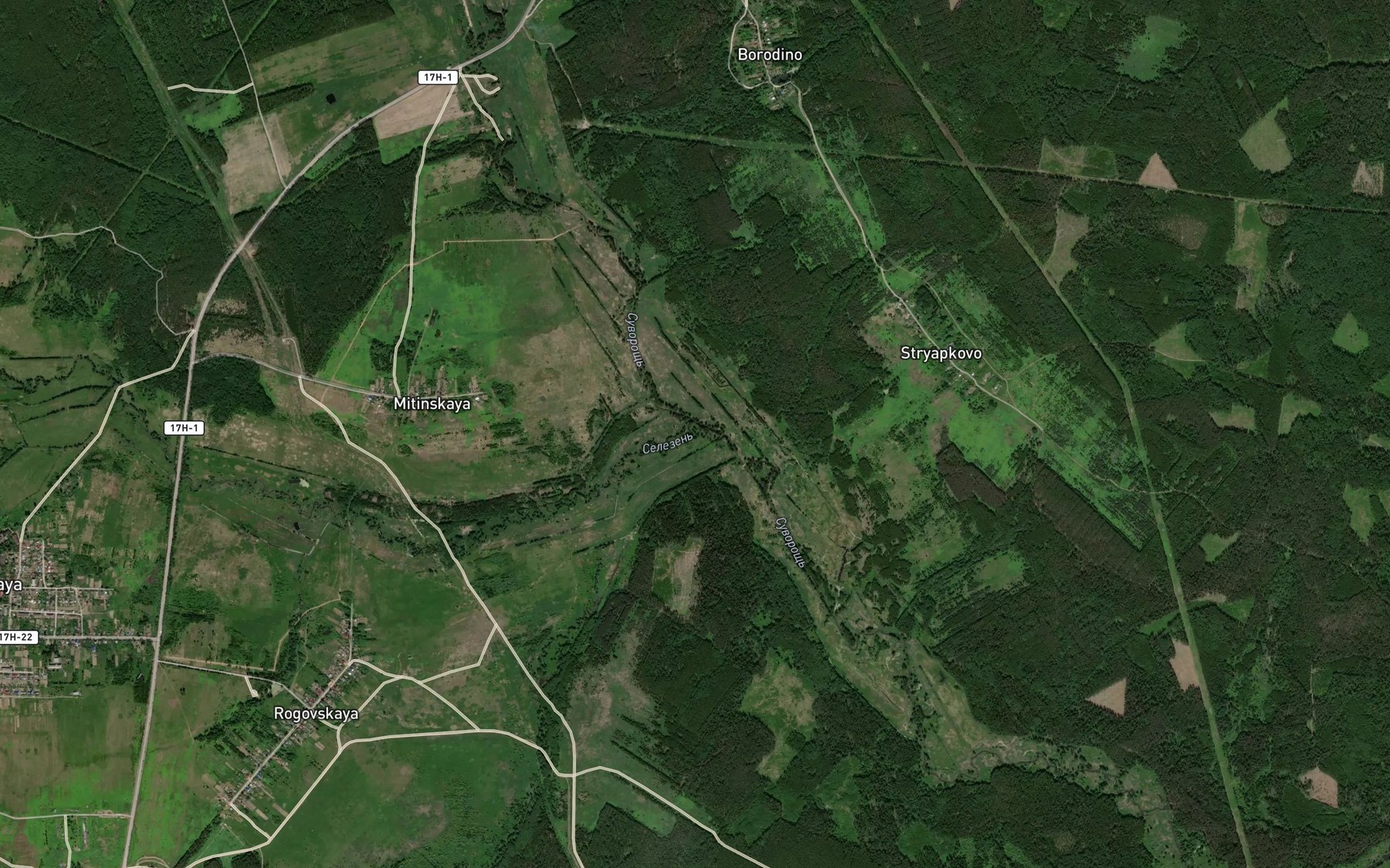 Satellite map of the Selezen'