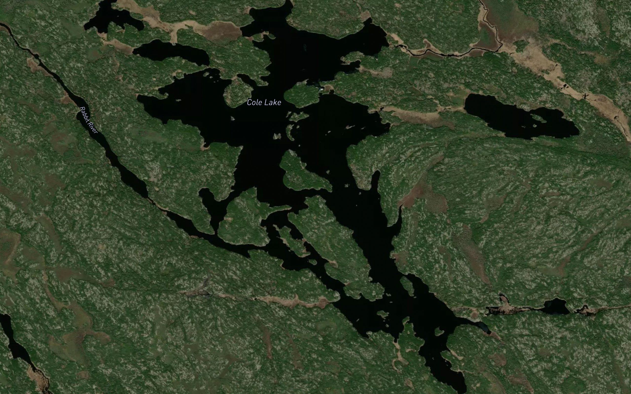 Cole Lake