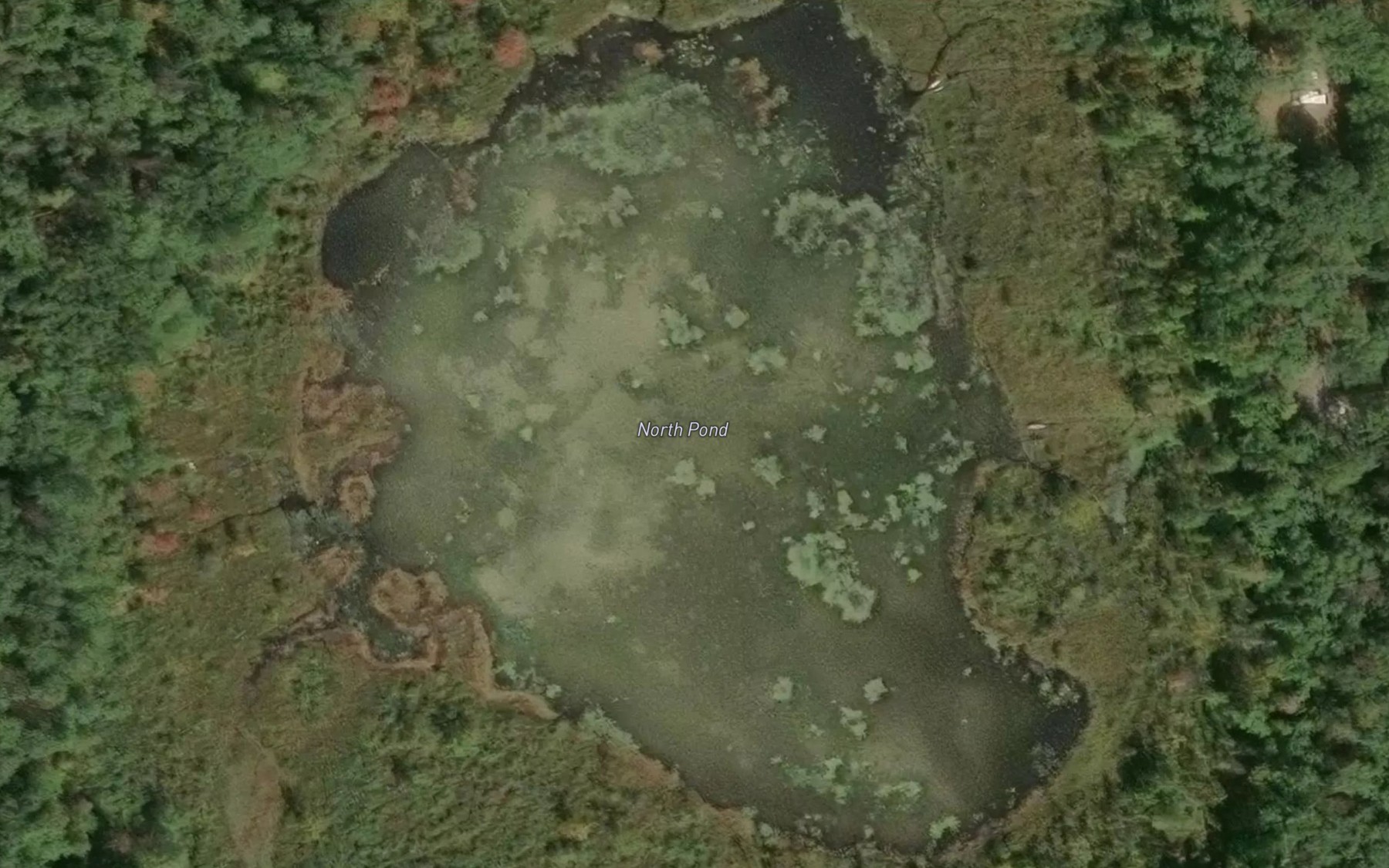 Satellite map of the North Pond