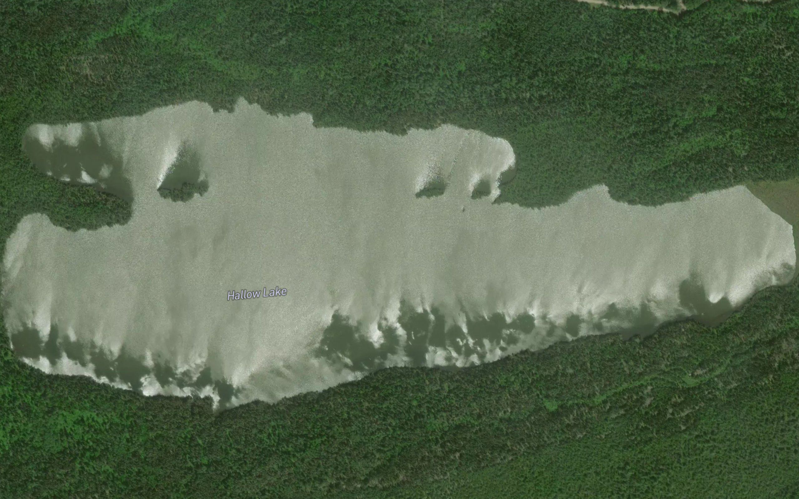 Hallow Lake
