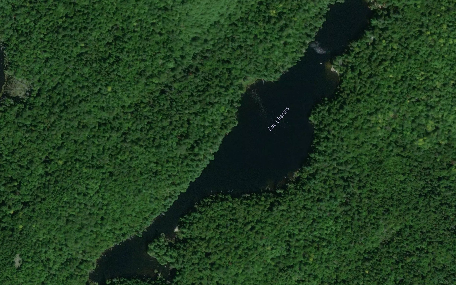 Satellite map of the Lac Charles