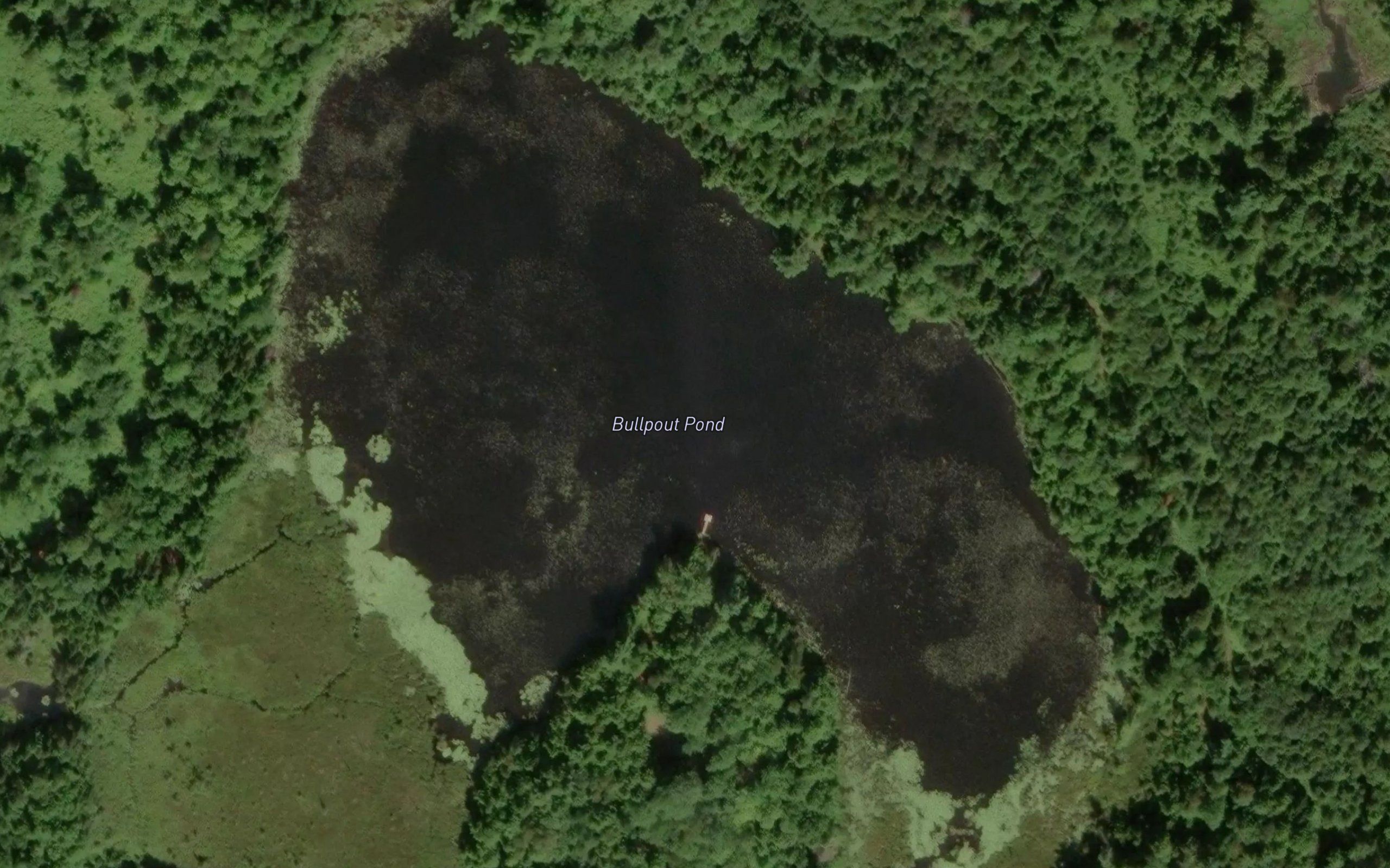 Bullpout Pond