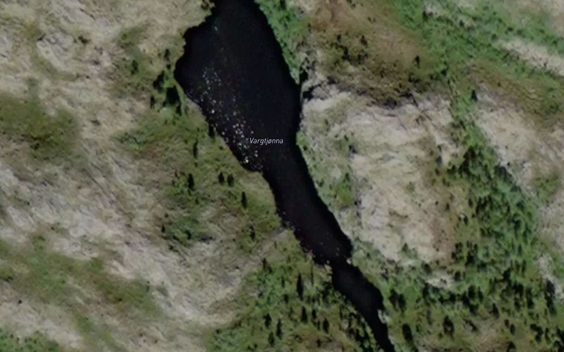 Satellite map of the Vargtjorna