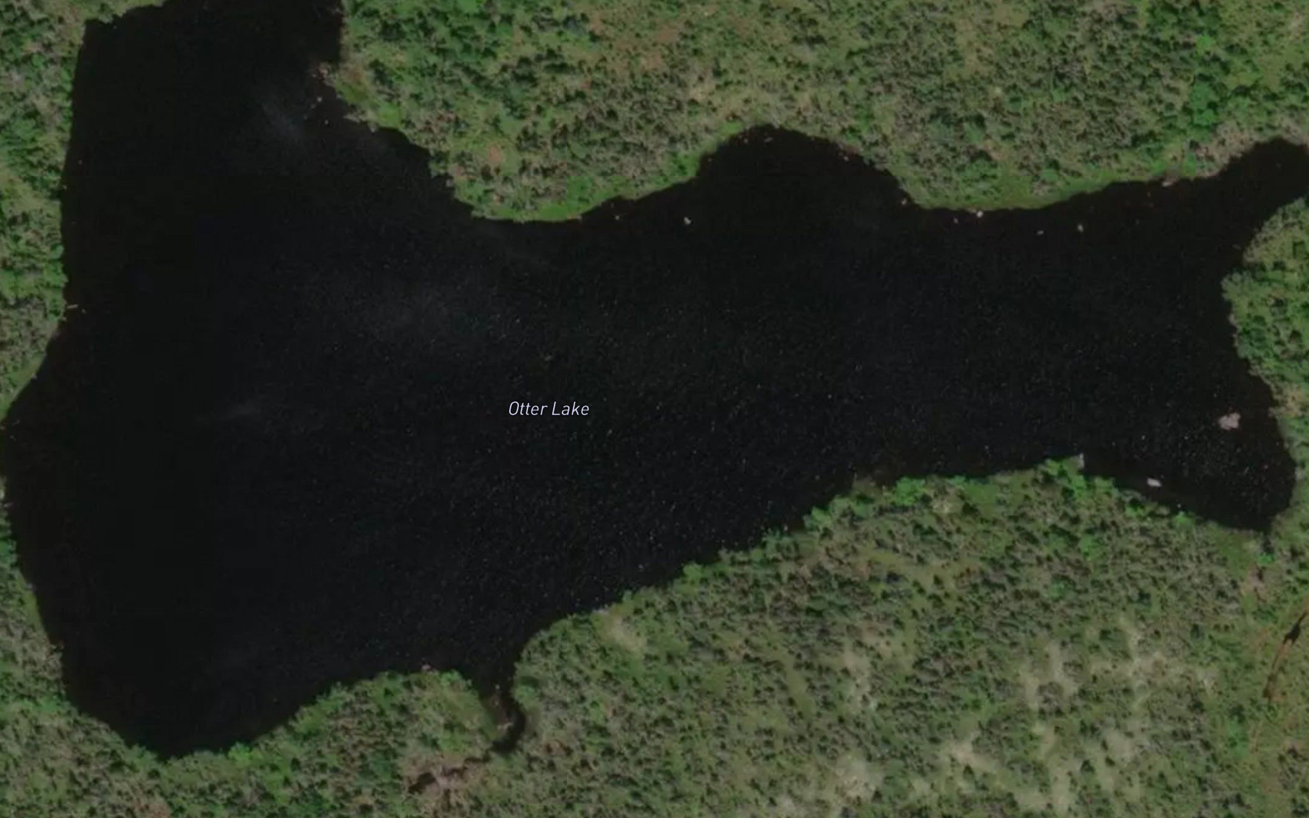 Otter Lake