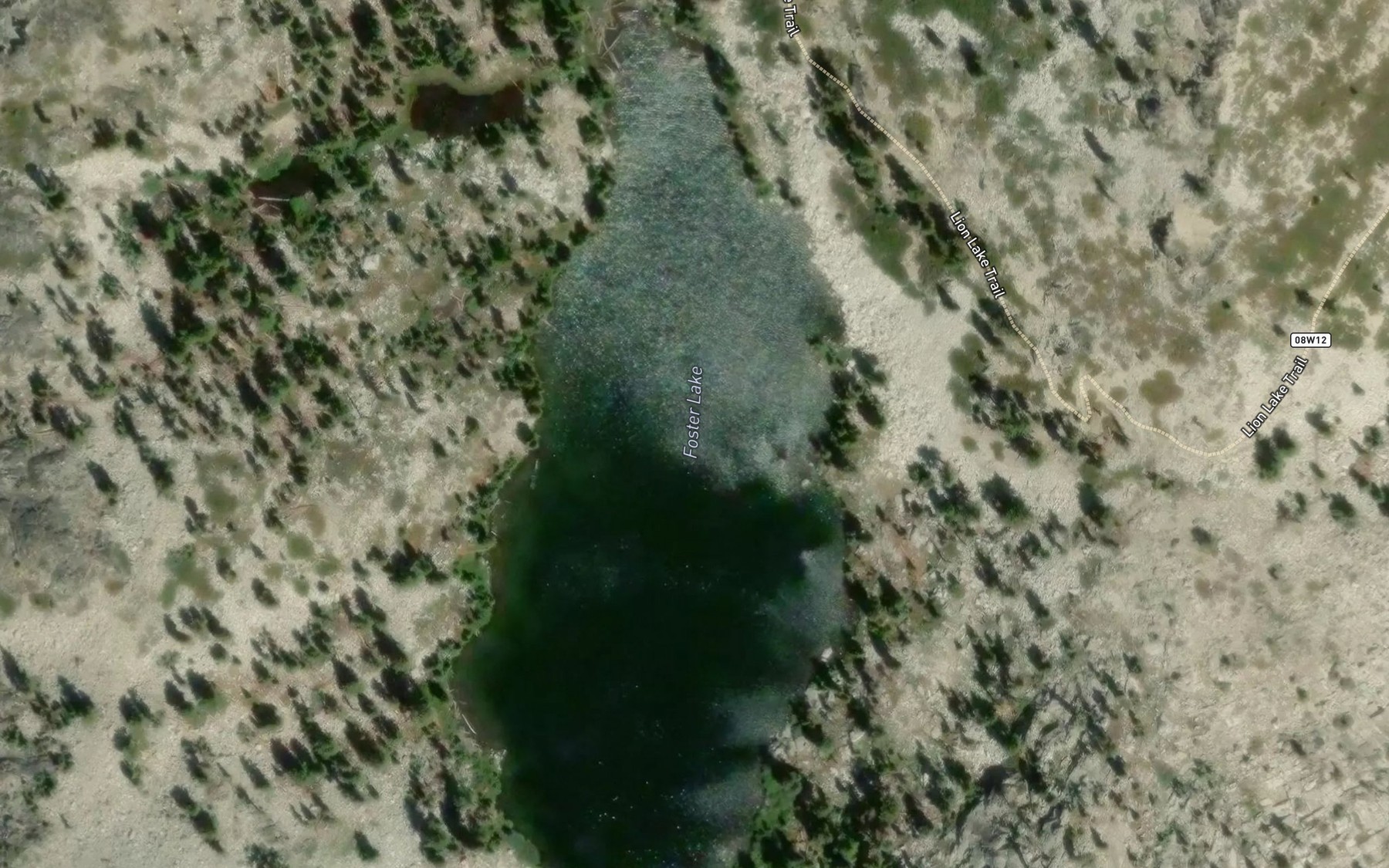Satellite map of the Foster Lake