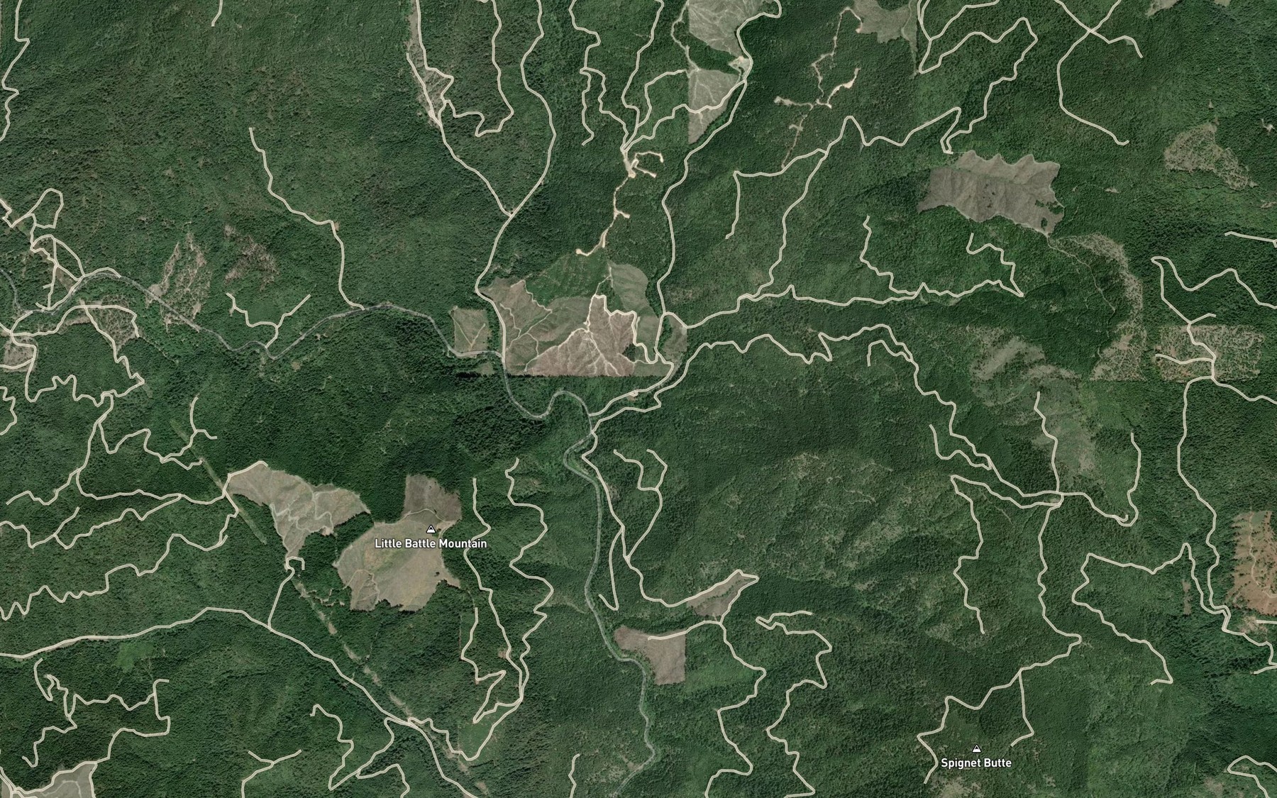 Satellite map of the Salt Spring
