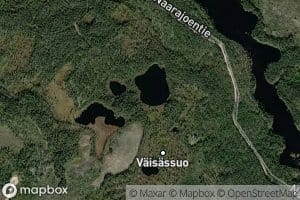 Vaisaslammit