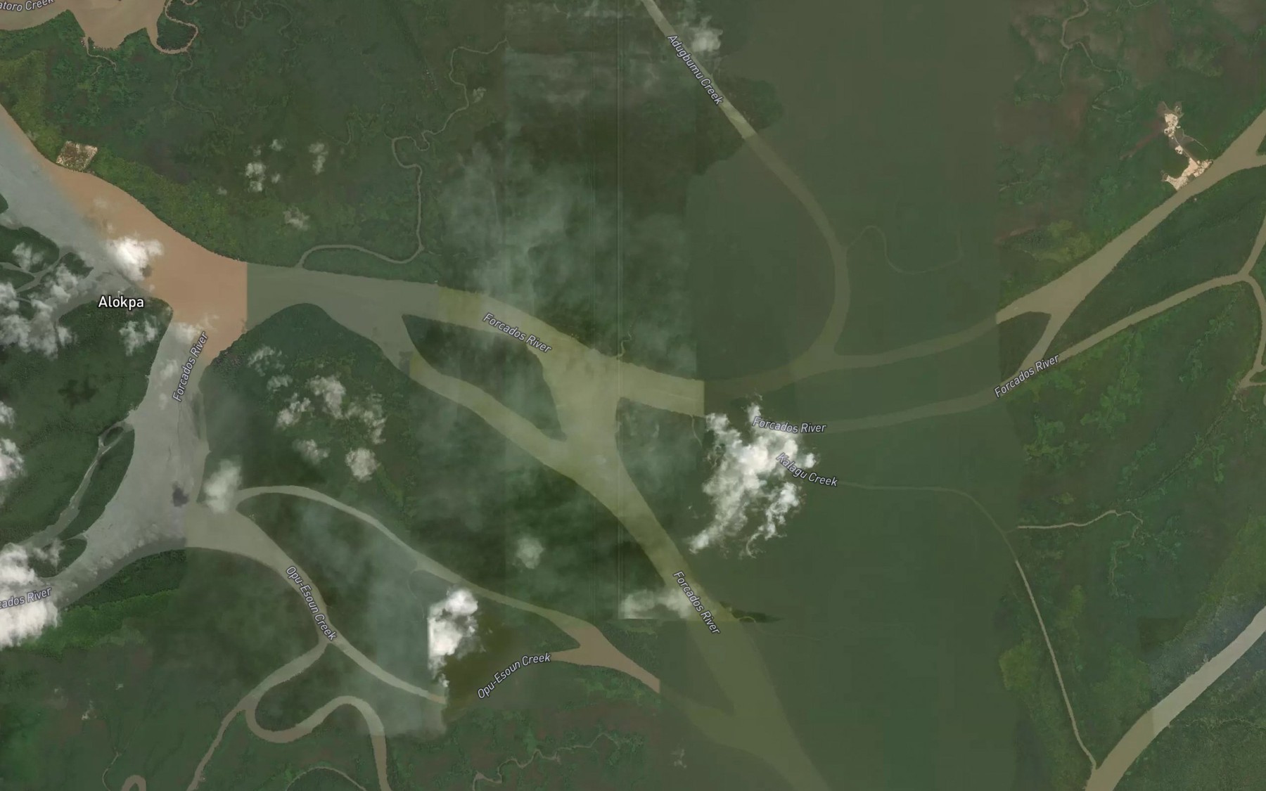 Satellite map of the Forcados Flats