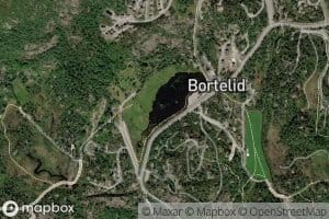 Bortelidtjonnae
