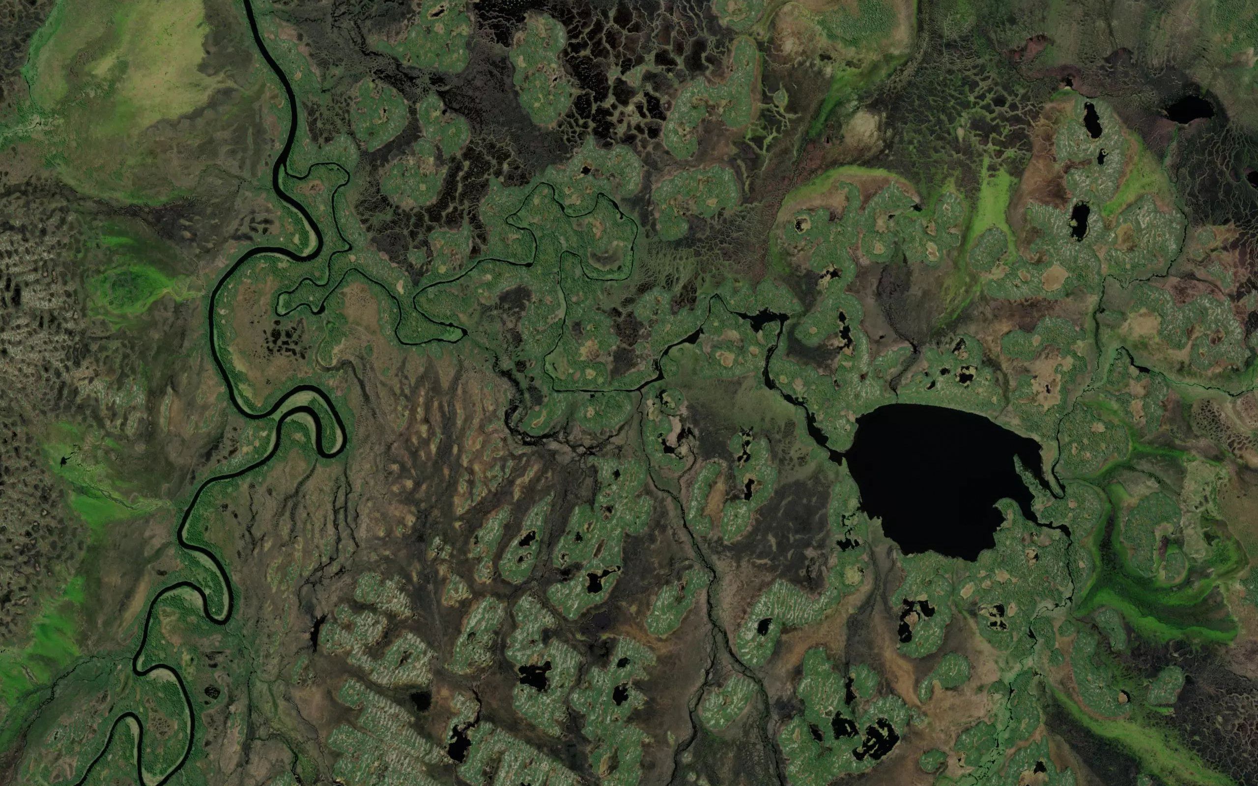 Nyrok