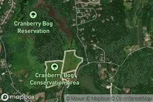 Cranberry Bog Reservoir Number One