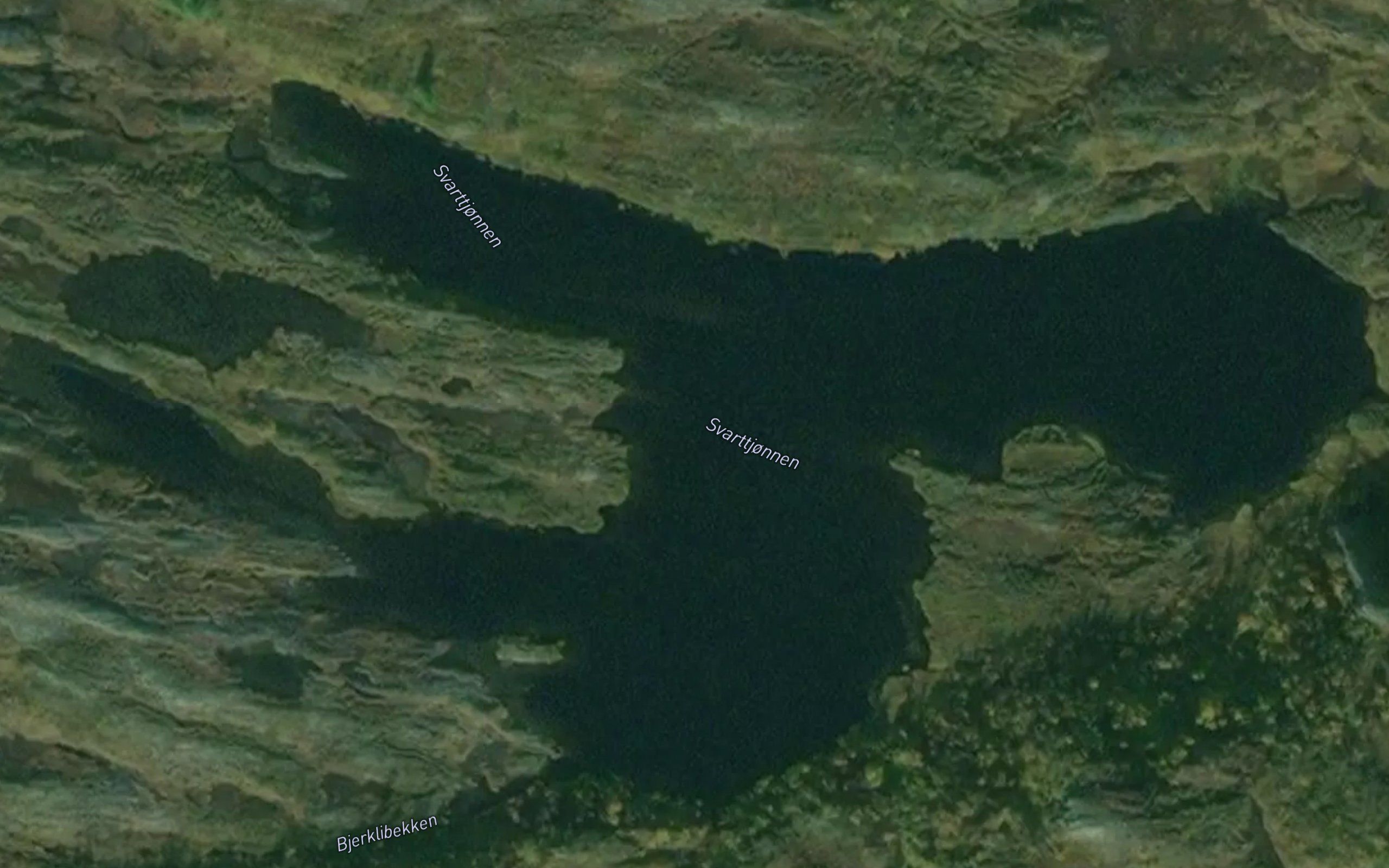Svarttjornene