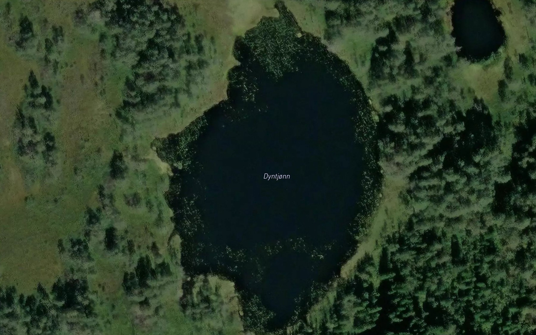 Satellite map of the Dyntjonn
