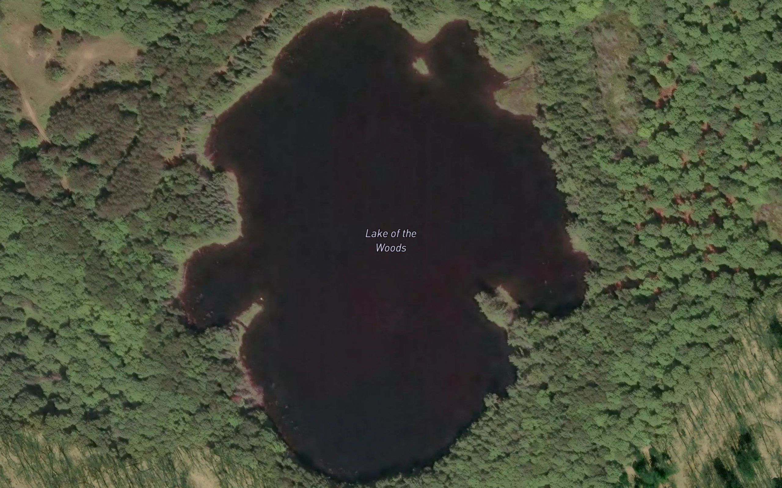 Lake of the Woods