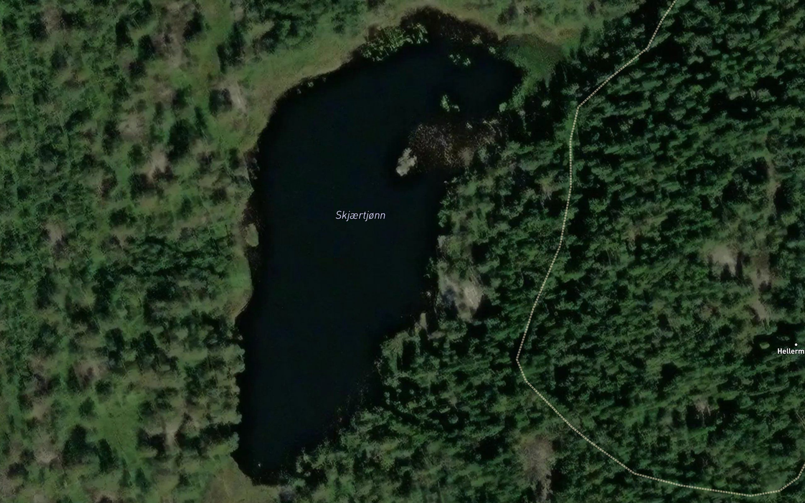 Skjaertjonn
