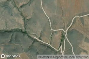 Virgil O McWhorter Spring