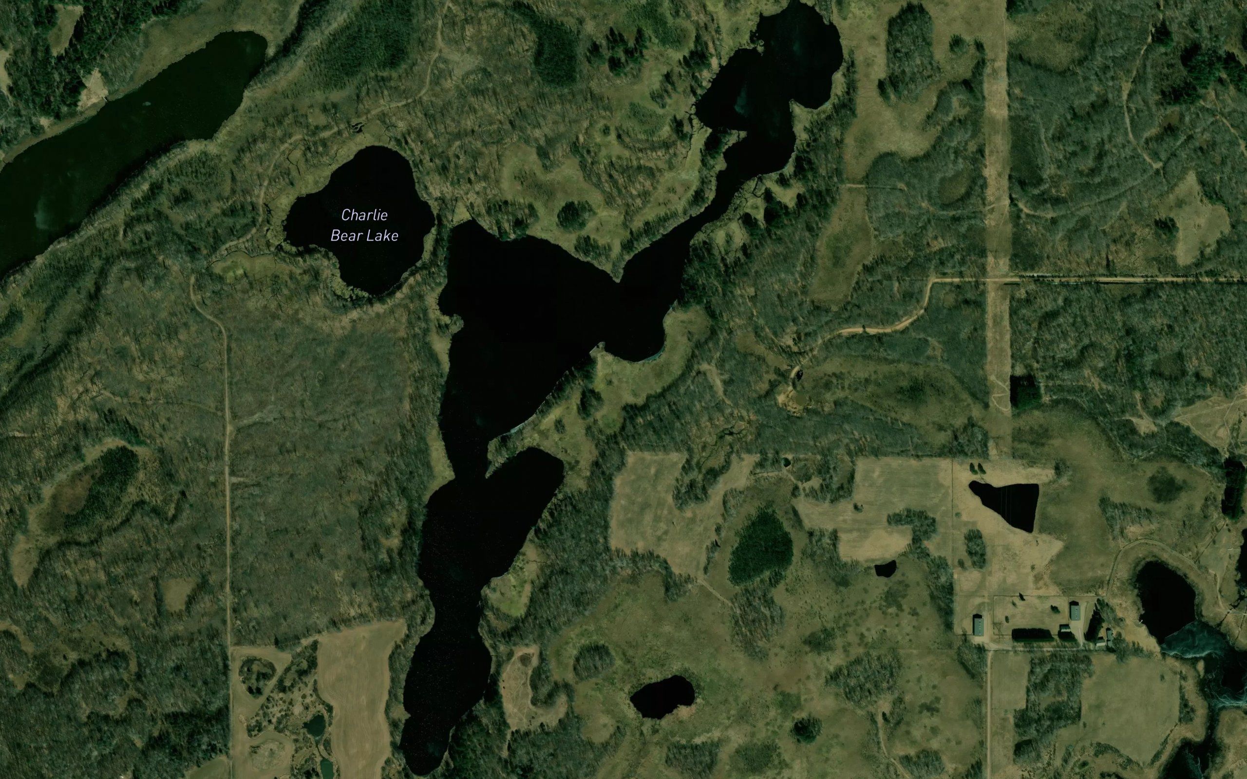 Grass Lake