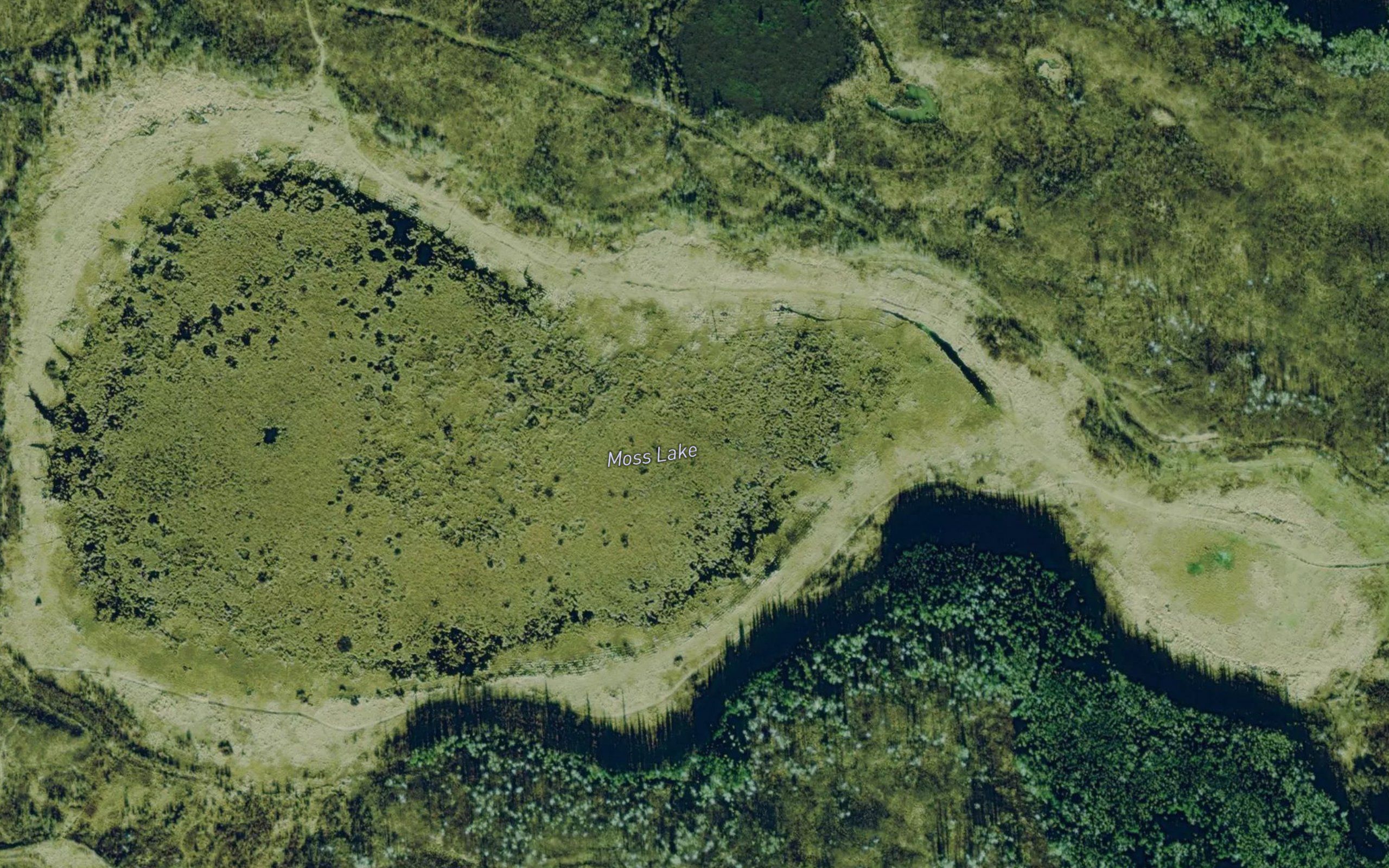 Moss Lake