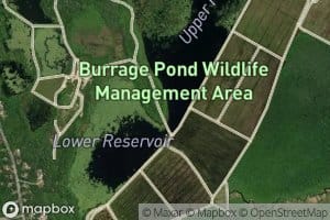 Burrage Pond