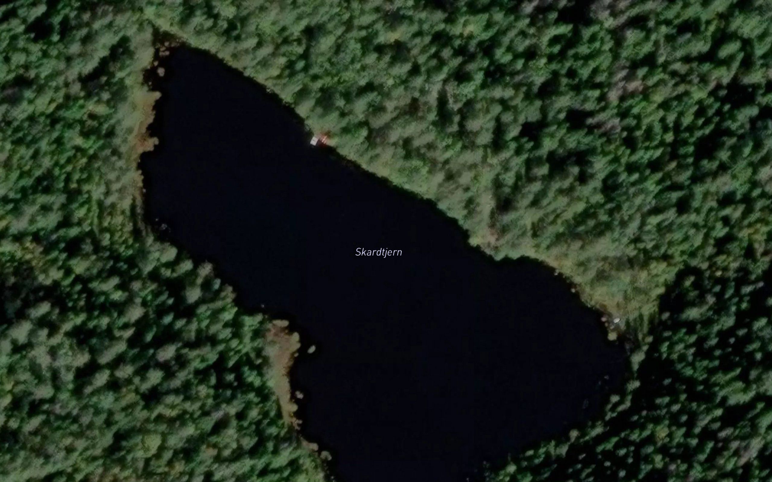 Skardtjern