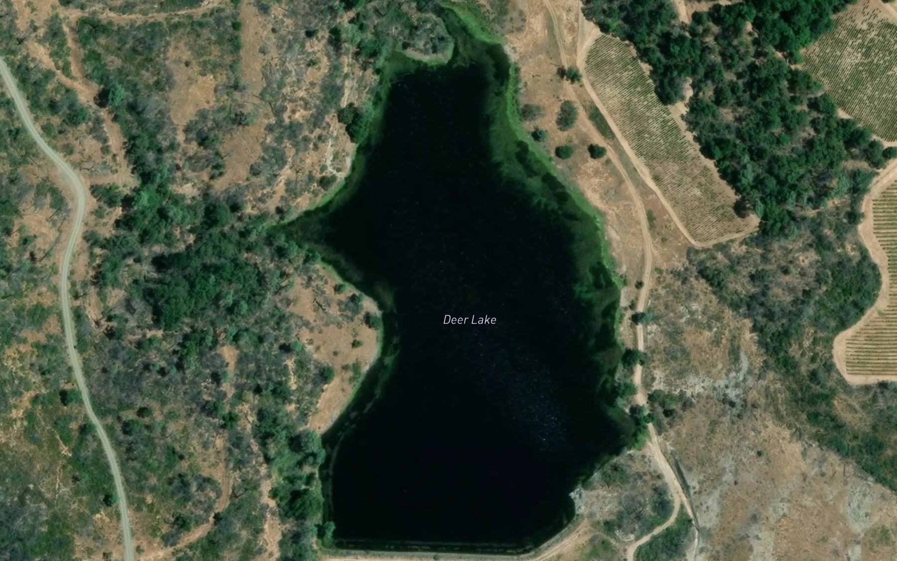 Satellite map of the Deer Lake