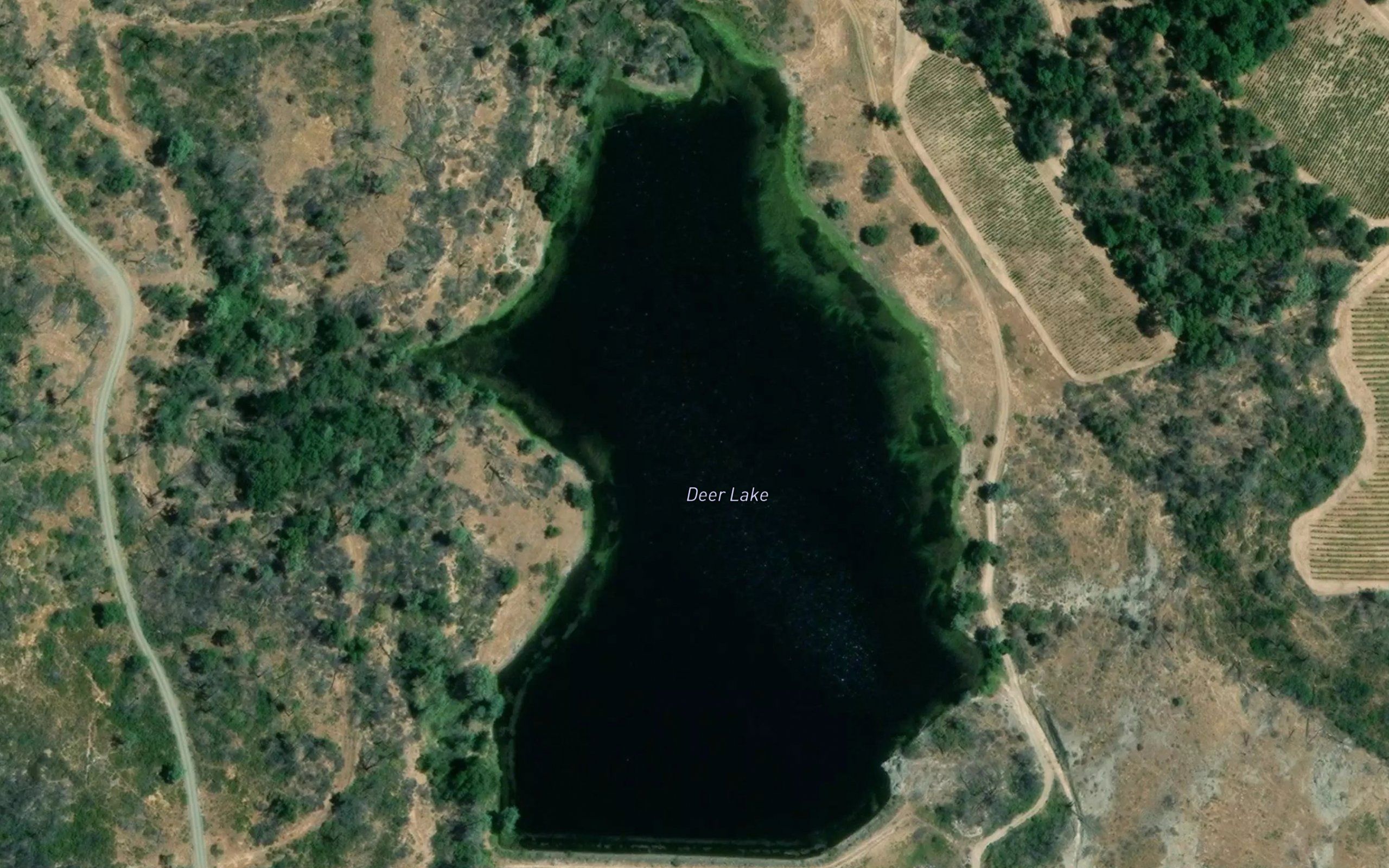 Deer Lake