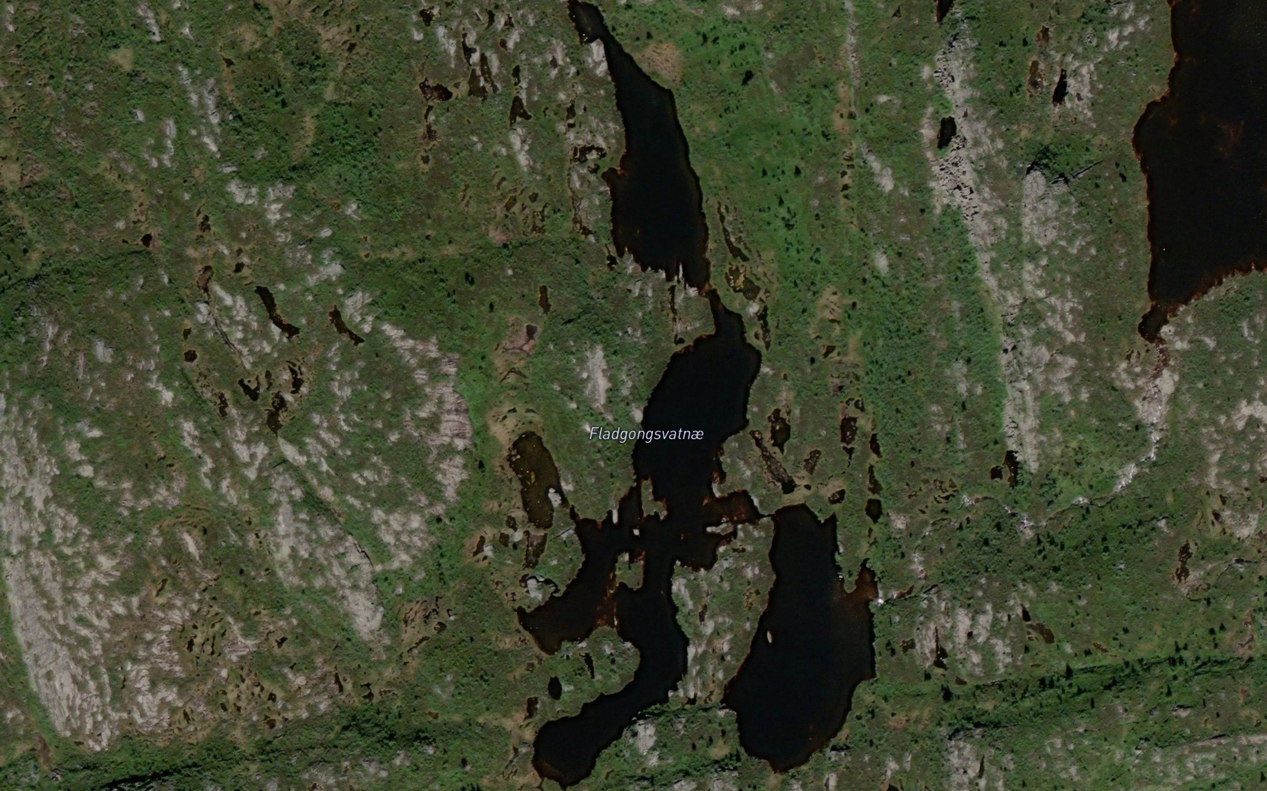 Flatgongsvatnet