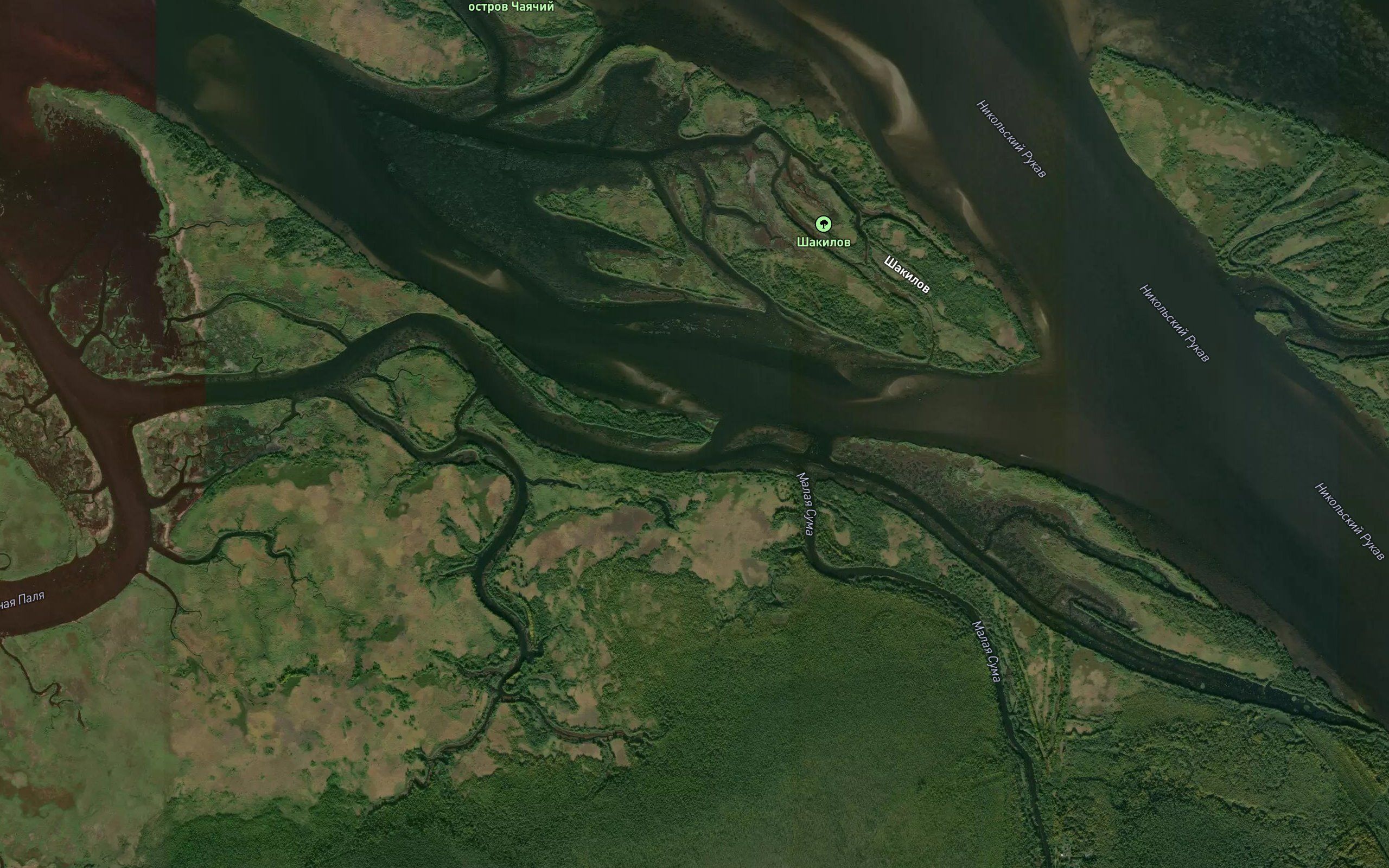 Korytkin