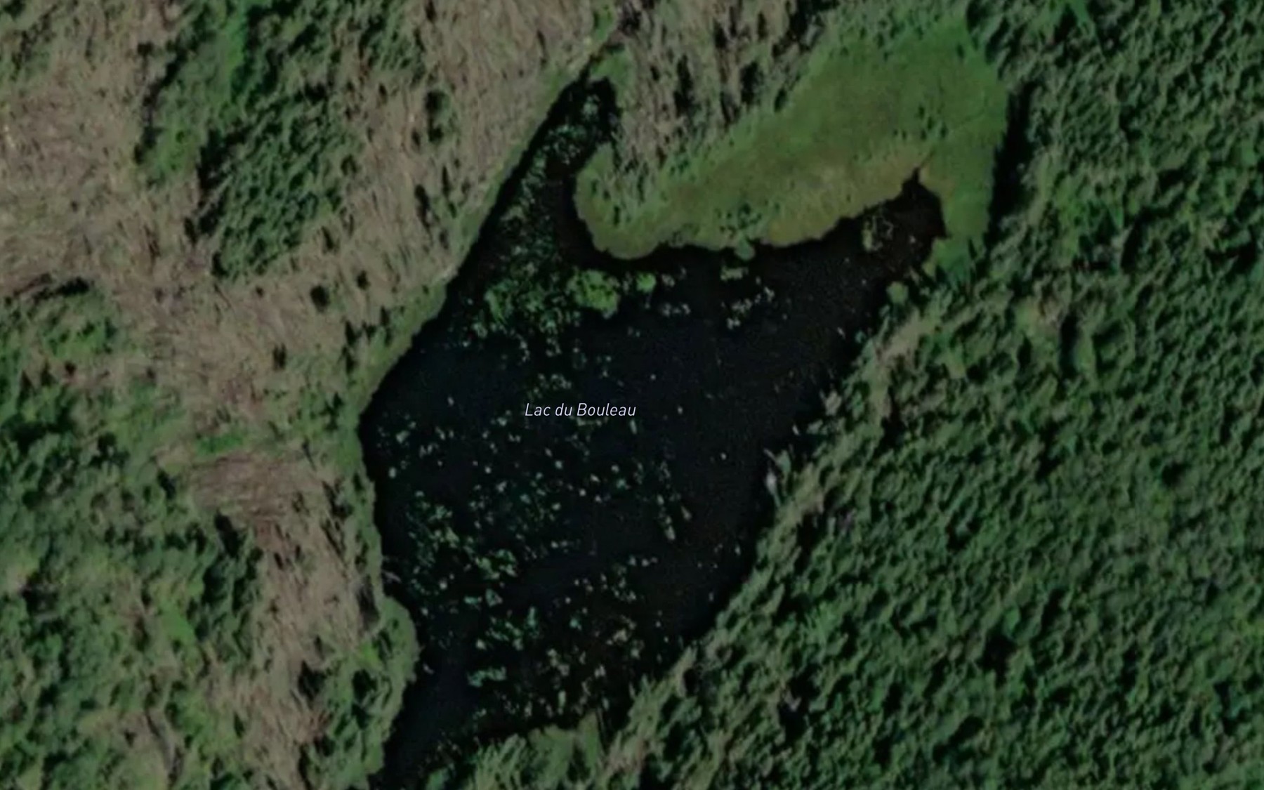Satellite map of the Lac du Bouleau