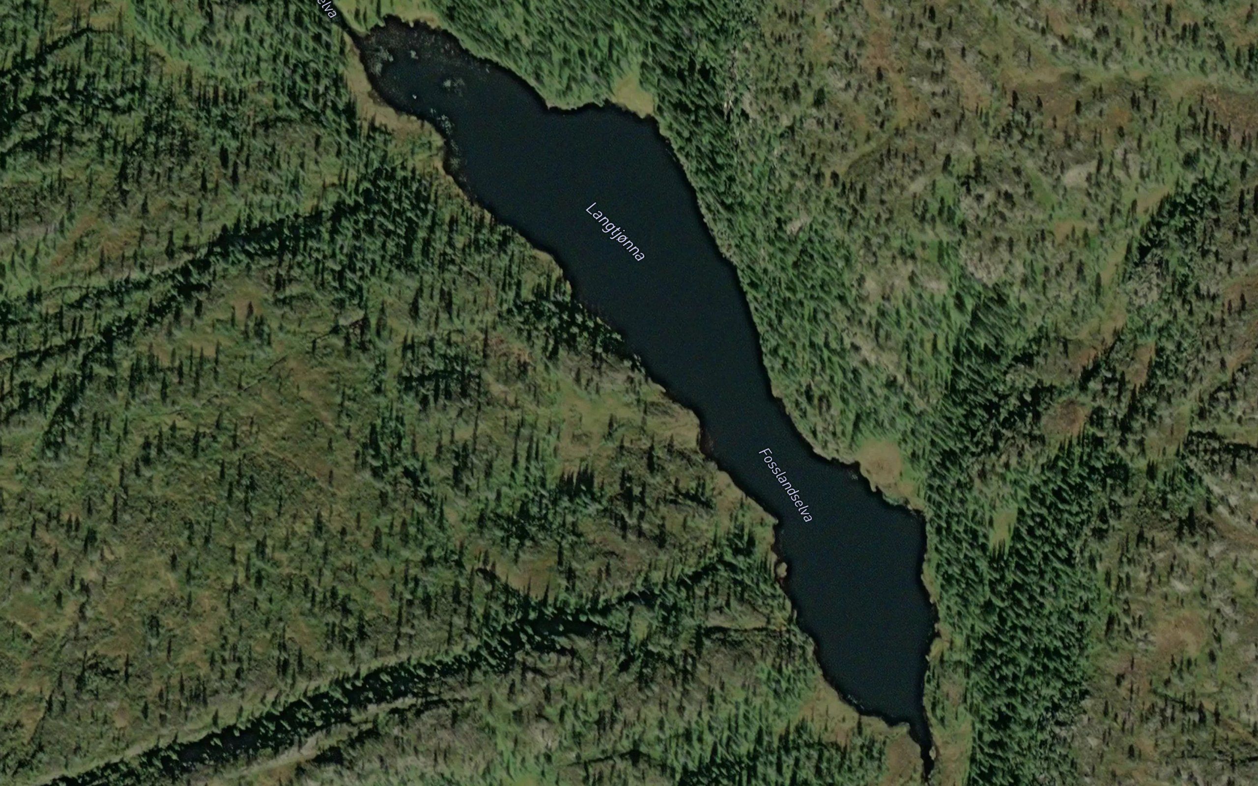 Langtjorna