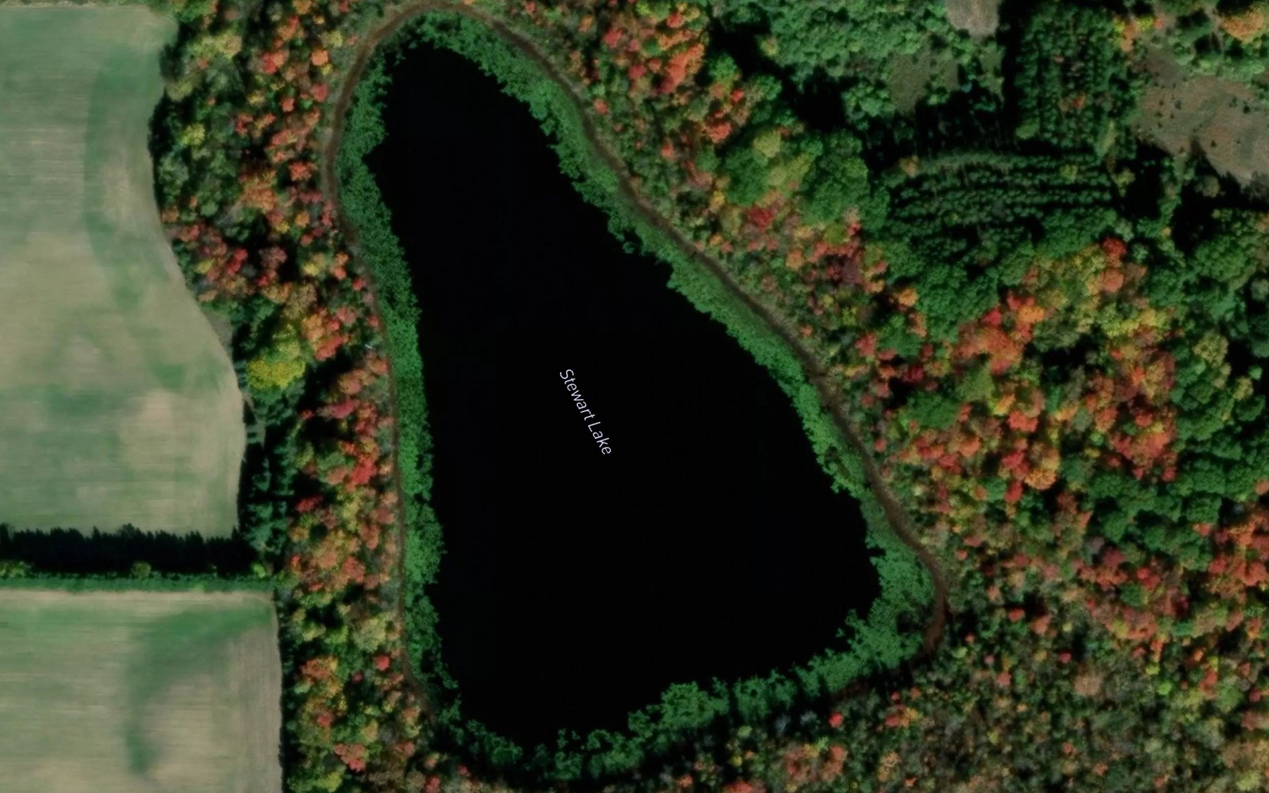 Satellite map of the Stewart Lake