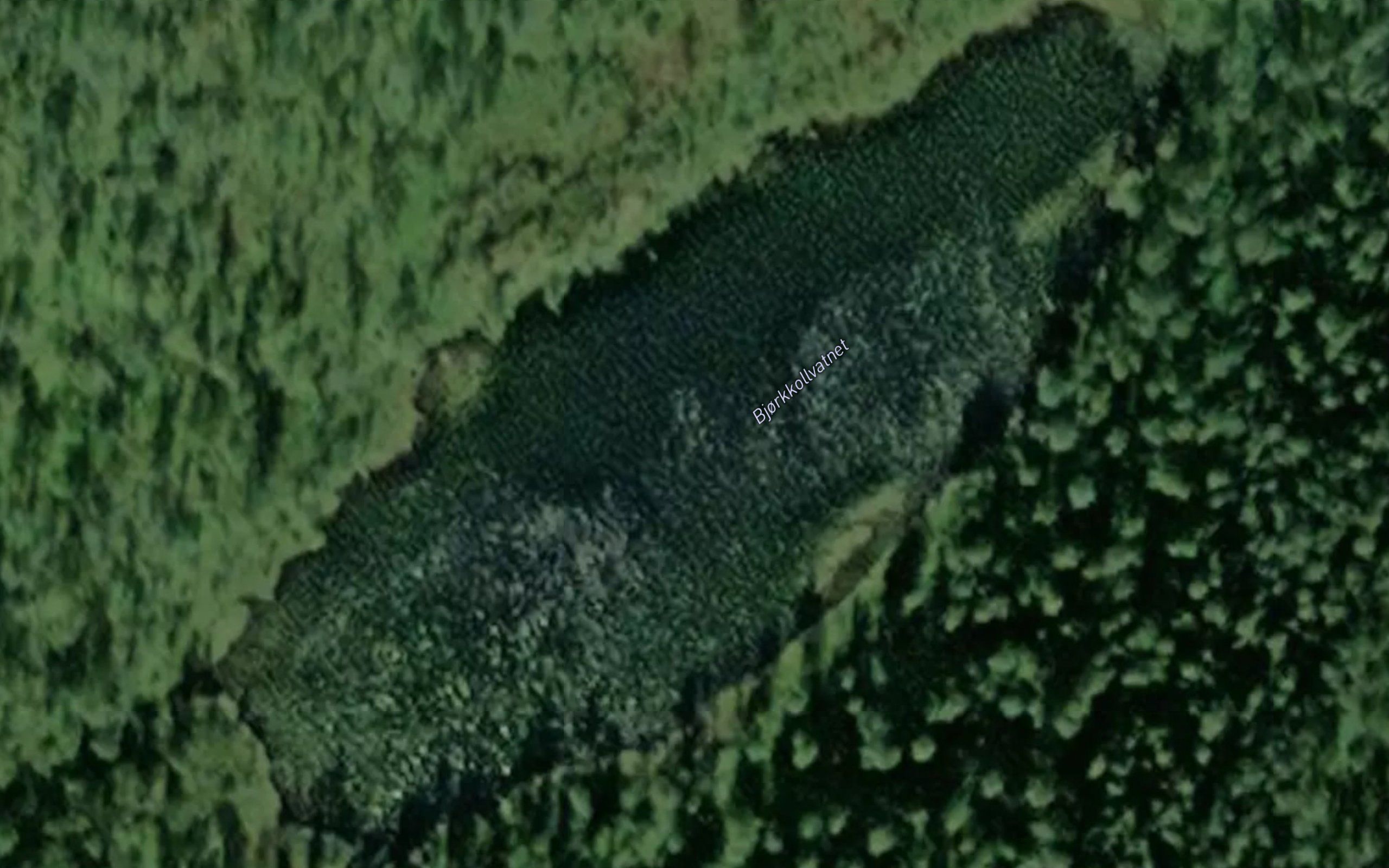 Bjorkkollvatnet