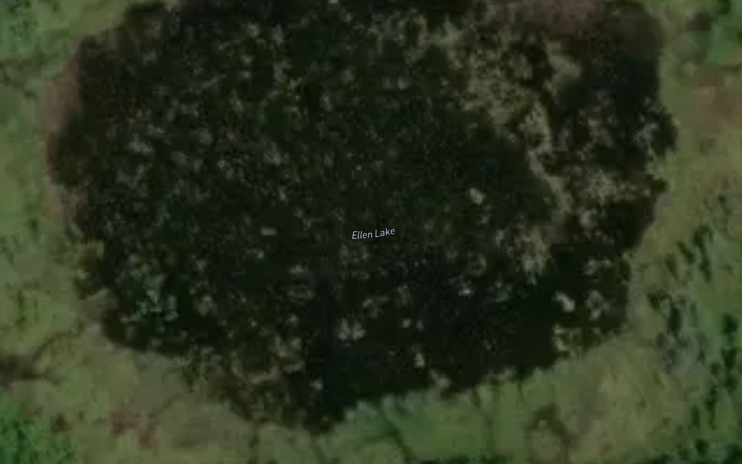 Ellen Lake