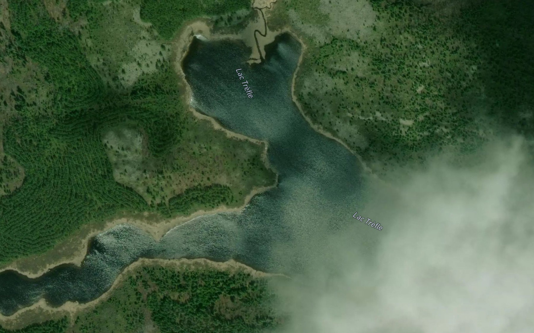 Satellite map of the Lac Trefle